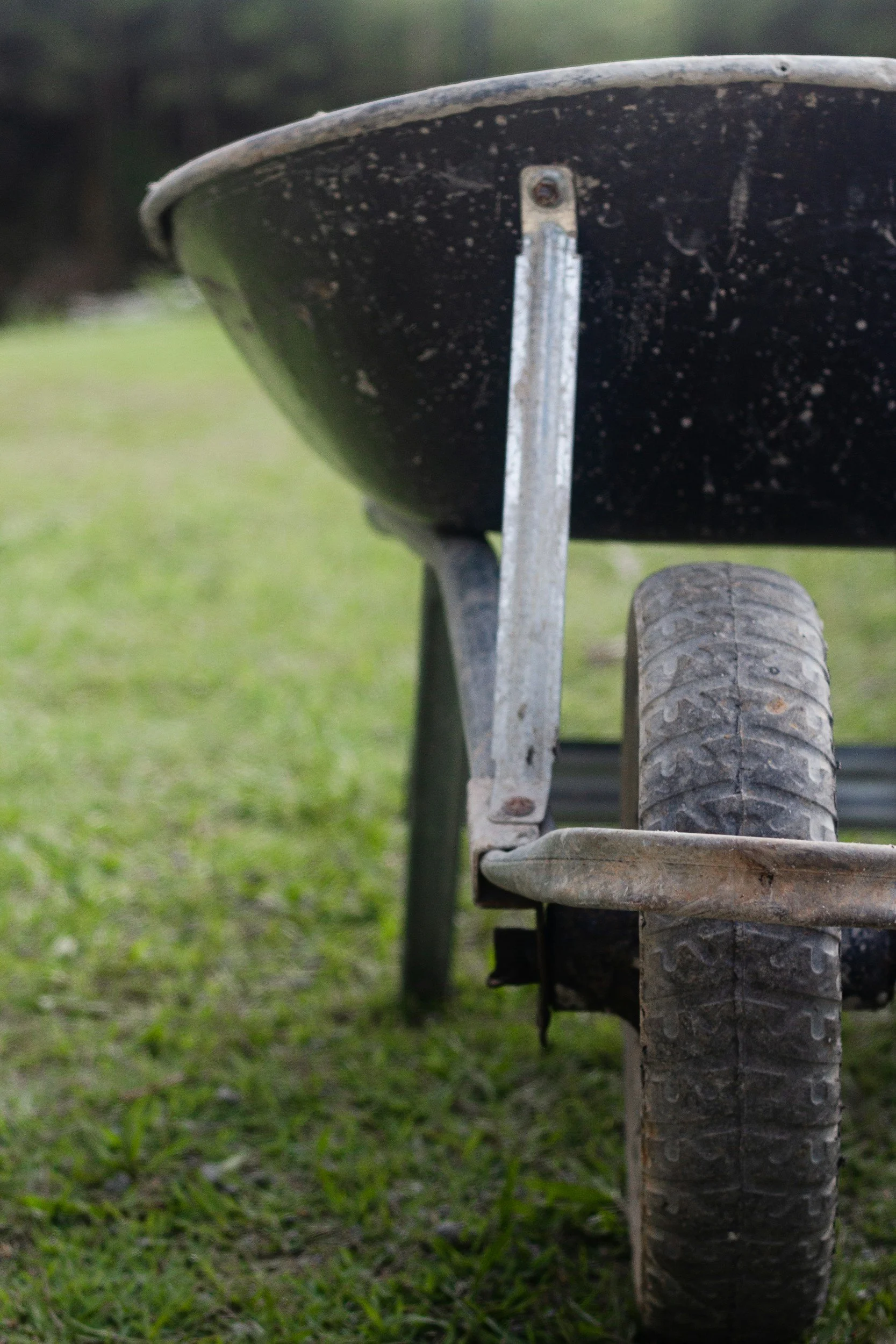 Close-up of a skateboard or longboard showing its underside, including the wheel and bearing, with a grassy background.