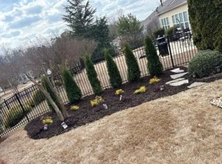 A landscaped yard with young trees, flowers, a black fence, and stepping stones on a mulch bed.