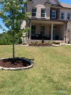 Front yard with a small tree and lawn, with a large house in the background.