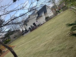 A large backyard with a spacious lawn, a tree with bare branches, and a white house in the background.