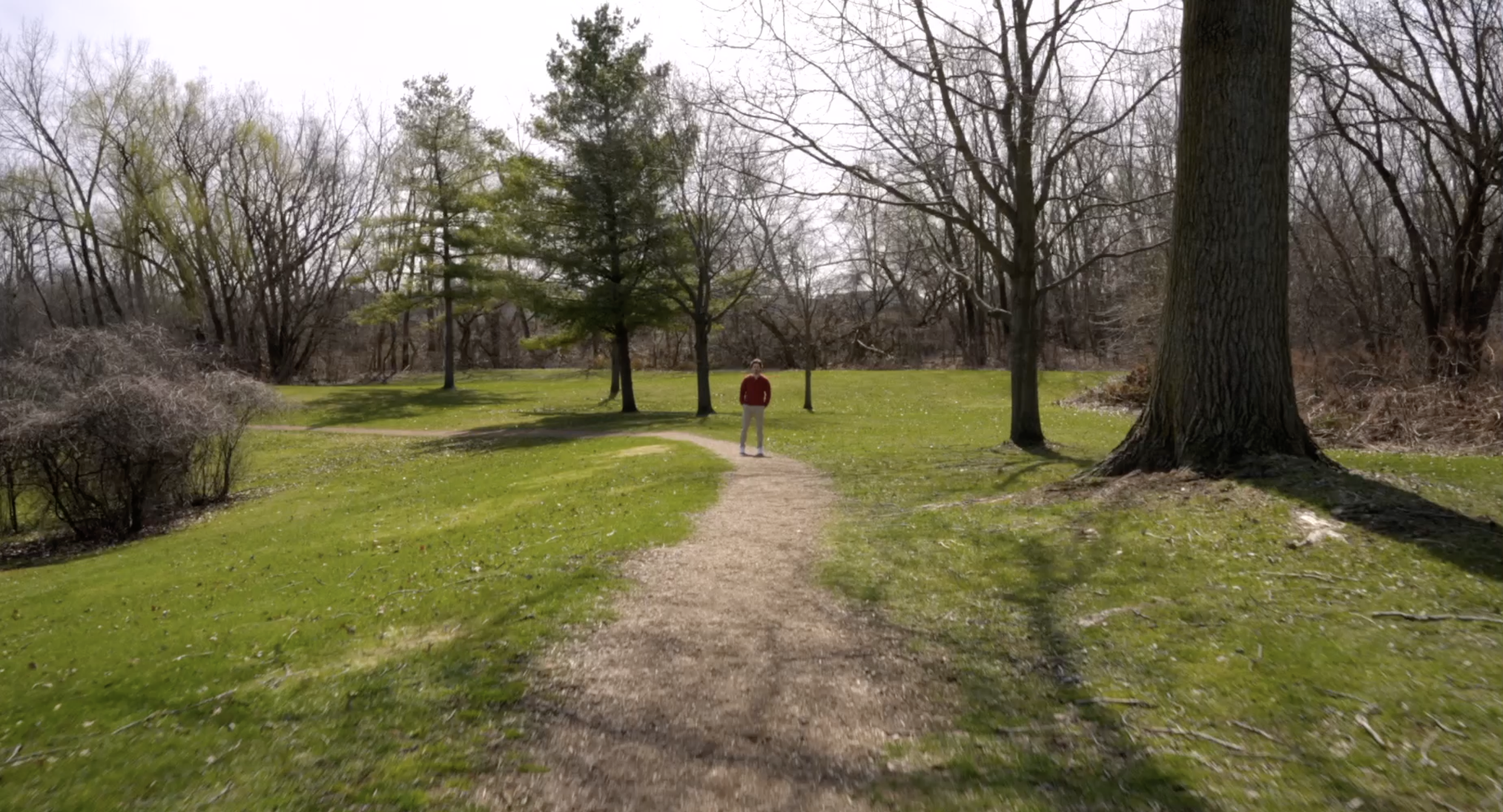 A person standing on a dirt path in a park with green grass and trees, some are leafless, during cloudy weather.