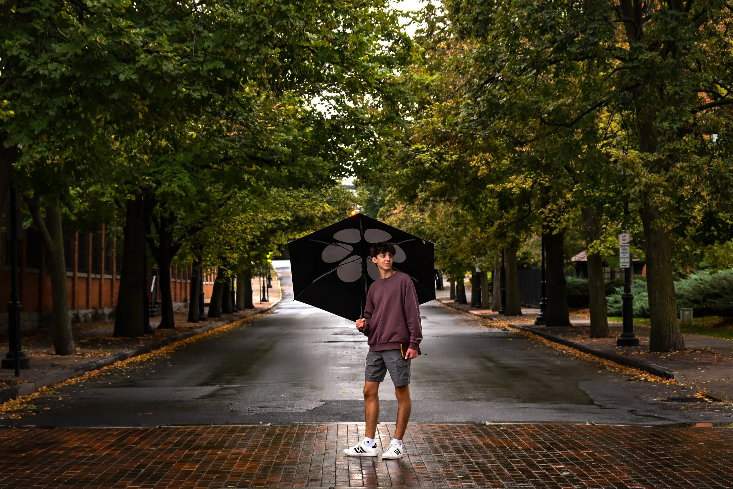 A young man holding a black umbrella stands on a wet street lined with trees, with fallen leaves on the ground during rainy weather, in an urban setting.