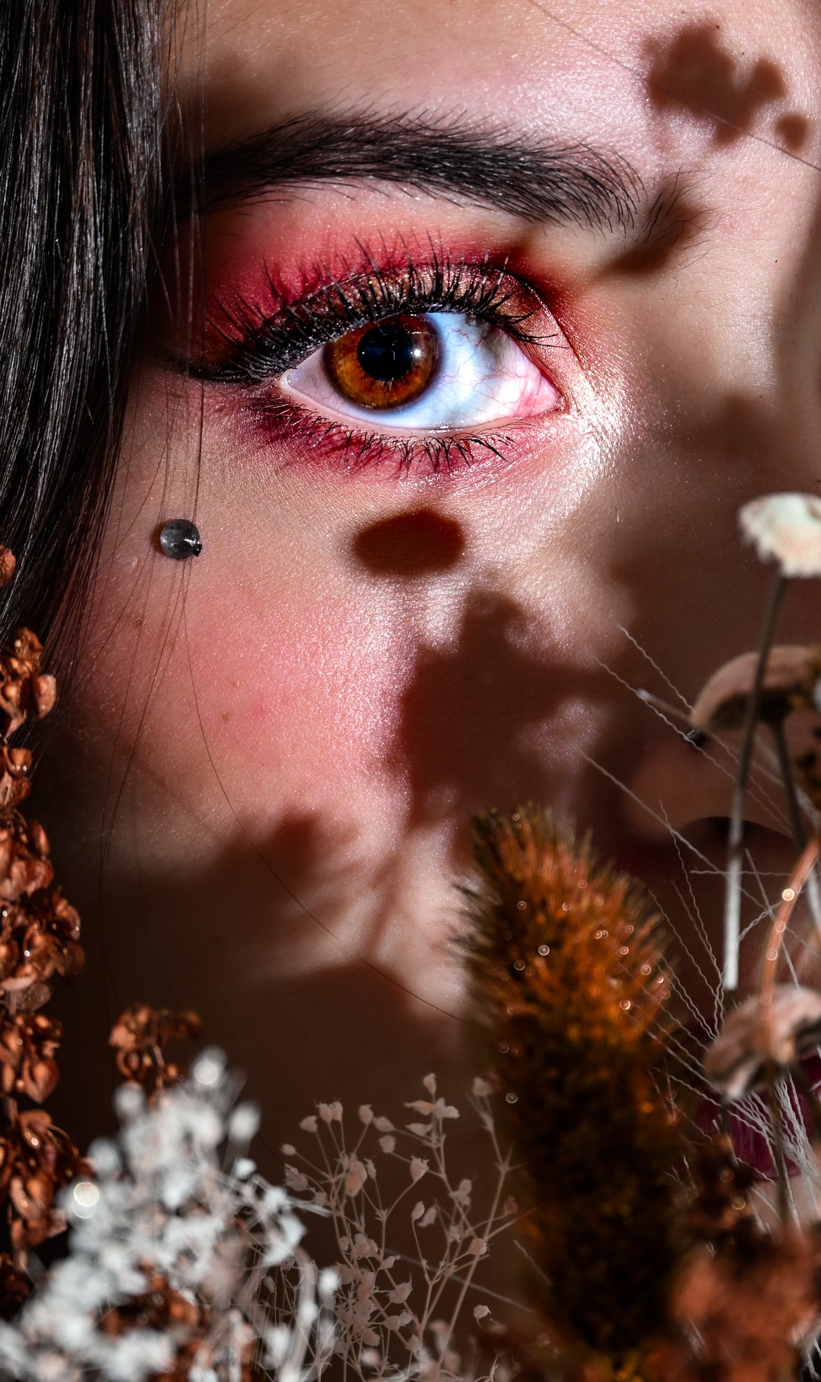 Close-up of a woman's eye with makeup, surrounded by dried flowers and greenery.