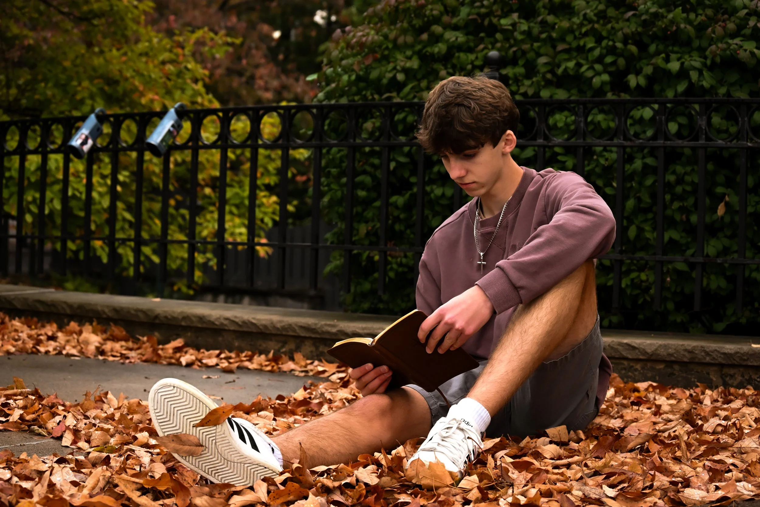 A young man with brown hair is sitting on the ground surrounded by fallen autumn leaves, reading a book. He is wearing a purple sweatshirt, gray shorts, and white sneakers. There is a black iron fence with hanging locks behind him and lush green and 