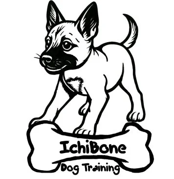 IchiBone Dog Training