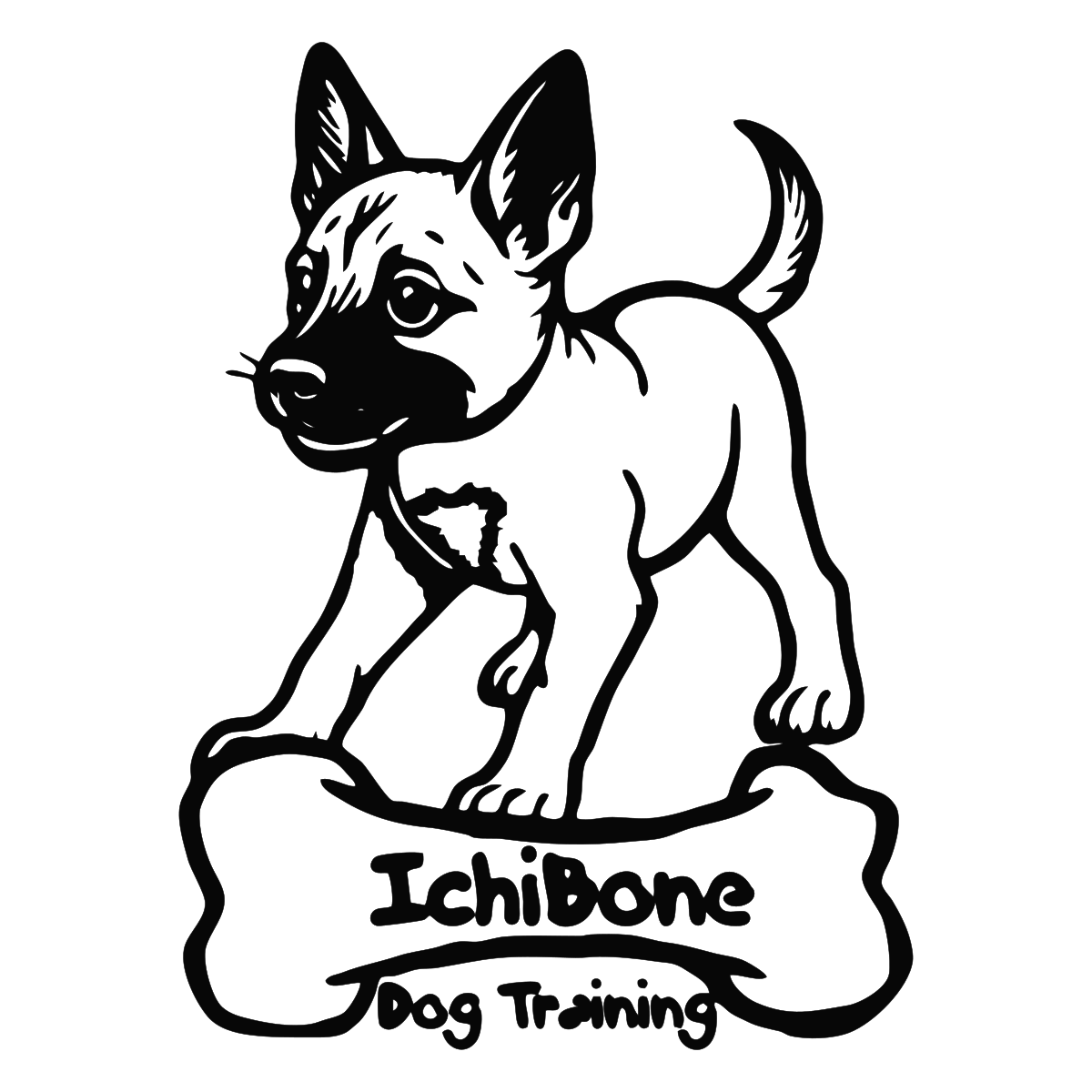IchiBone Dog Training