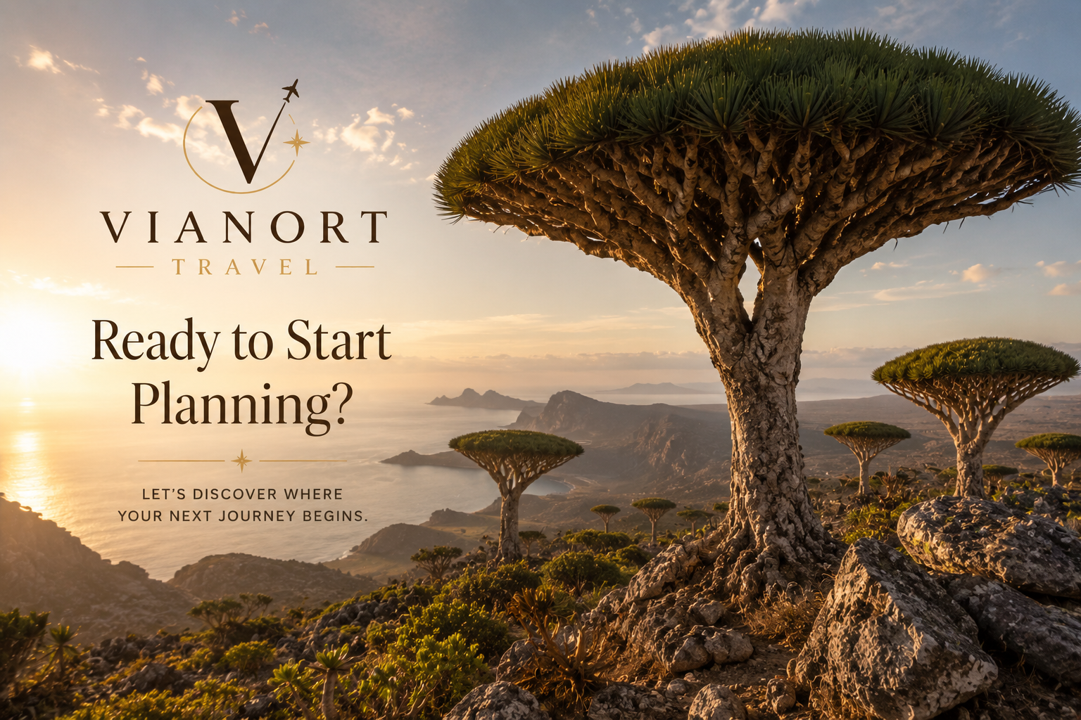 Sunset over rocky coastline with unique umbrella-shaped trees on a hillside, promotional travel photo for Vianort Travel.