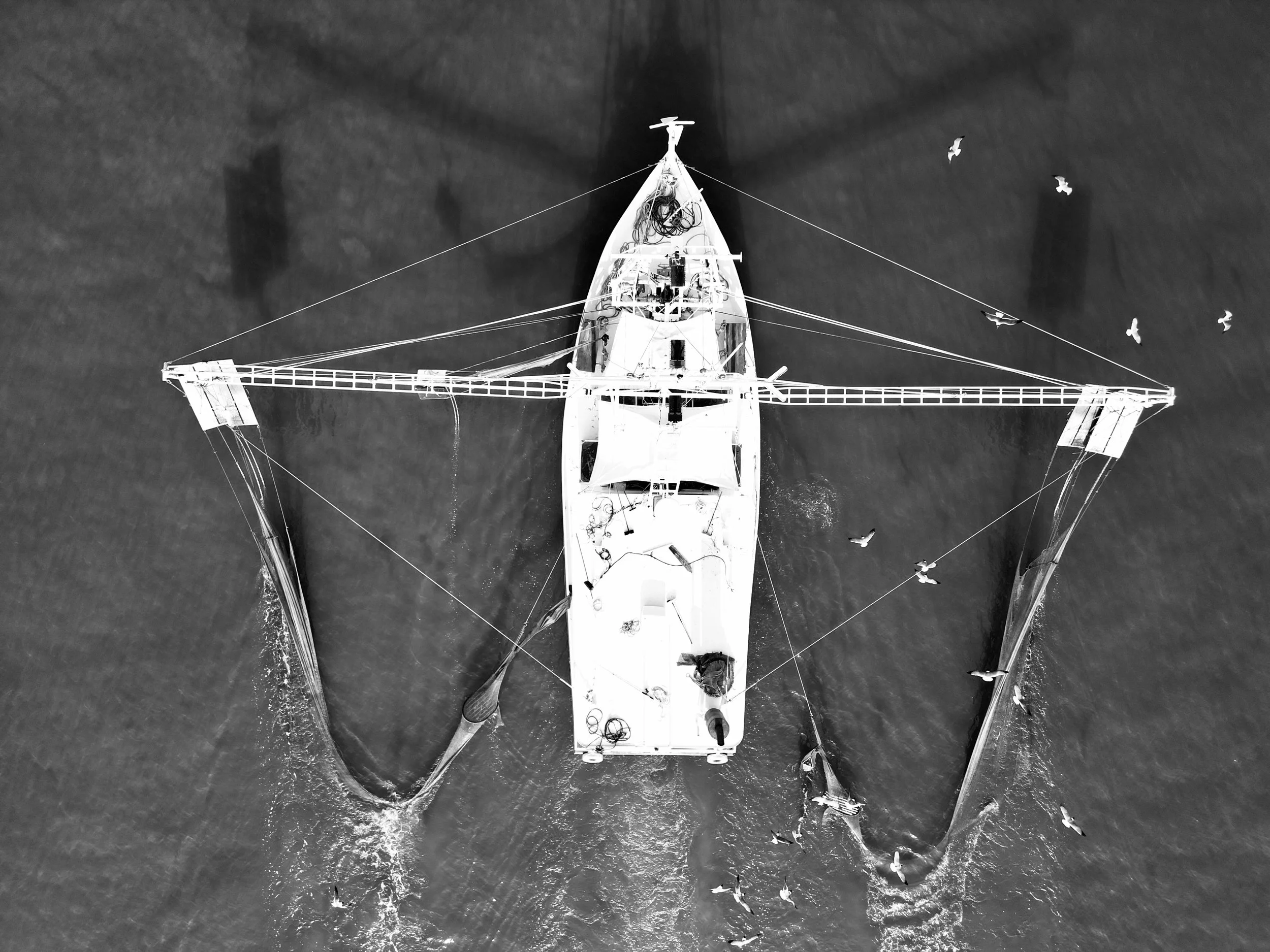 DJI_0183.jpeg