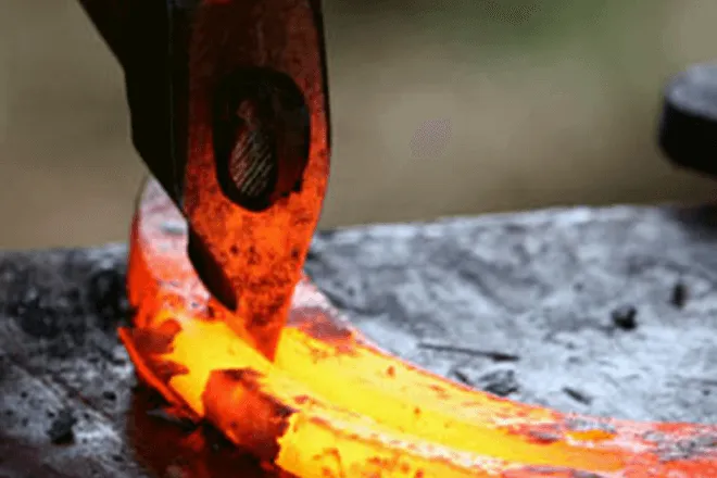Texas Horseshoeing School