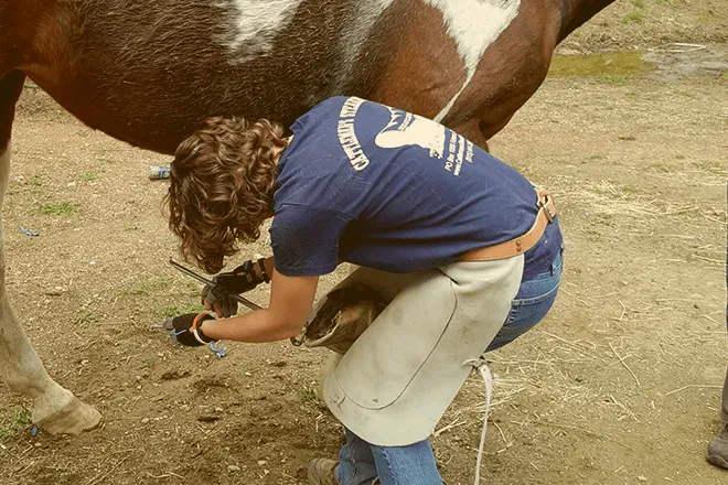 Bare Hoof Trimming School