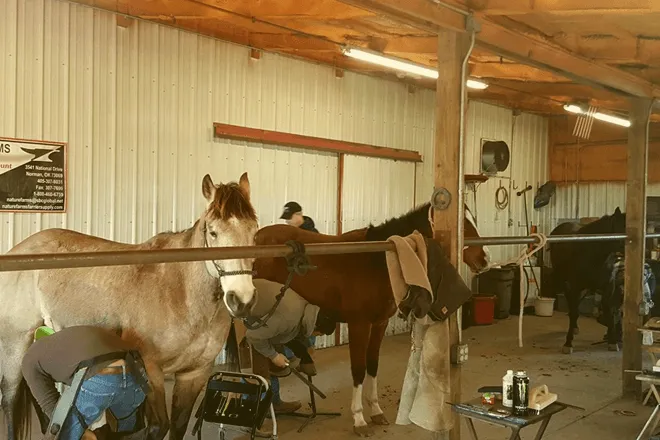Five Star Horseshoeing School
