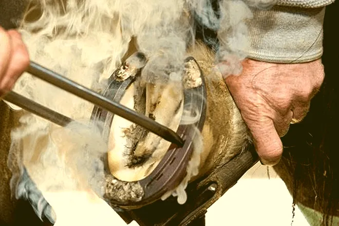 Oregon Farrier School