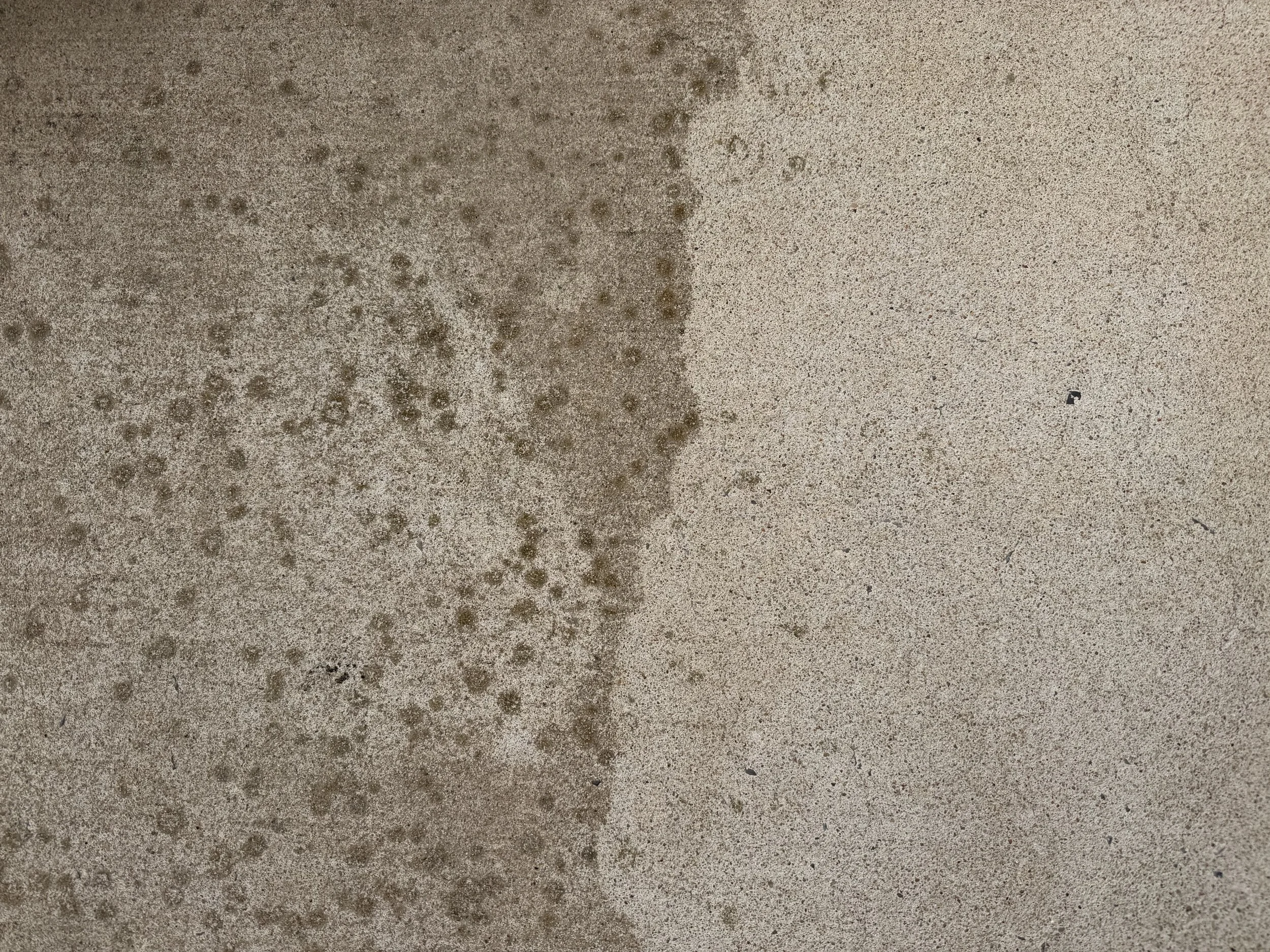 A close-up of a textured surface, likely a concrete or stone countertop, showing wear, spots, and stains.