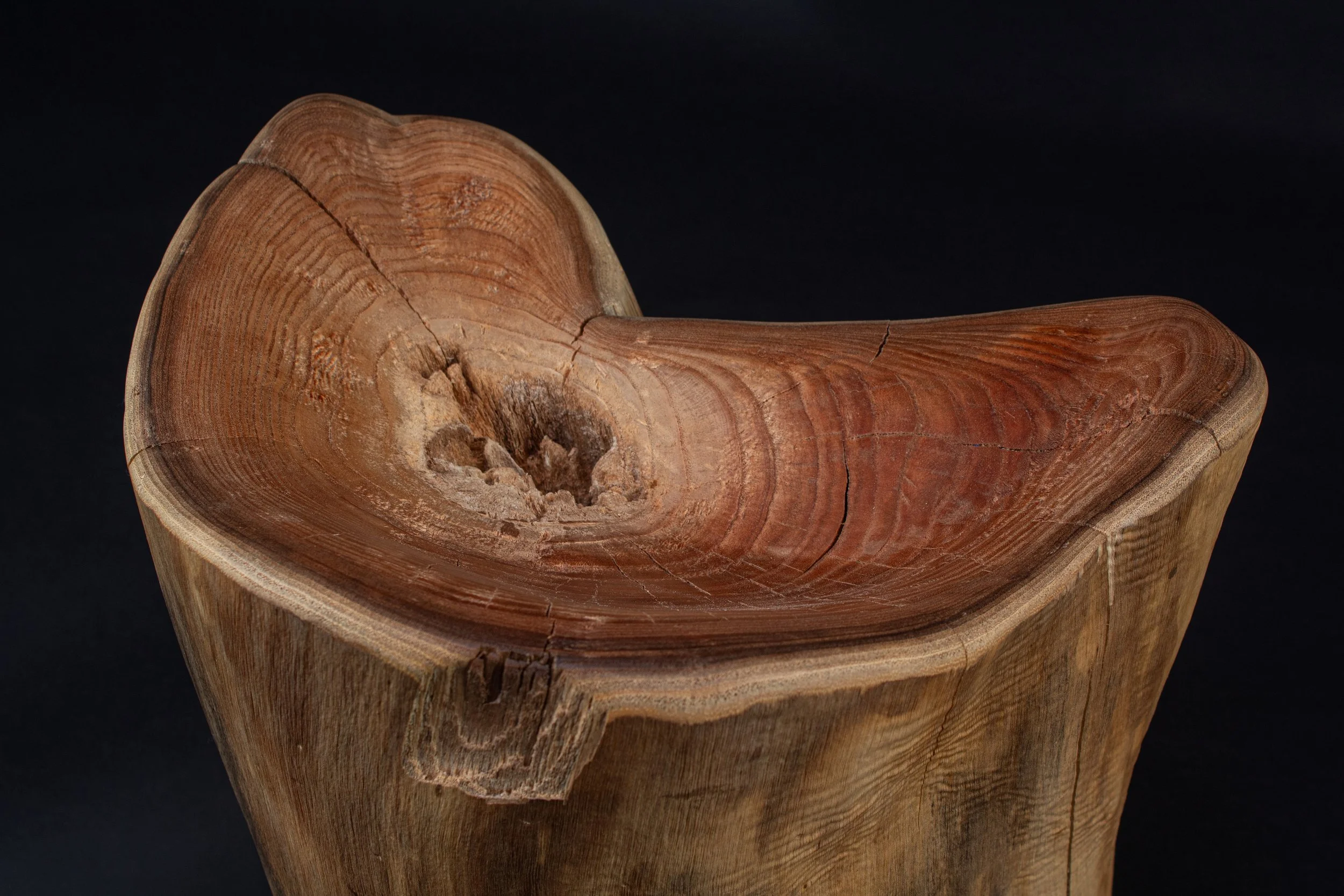 The Log Will Hold You-3.jpeg