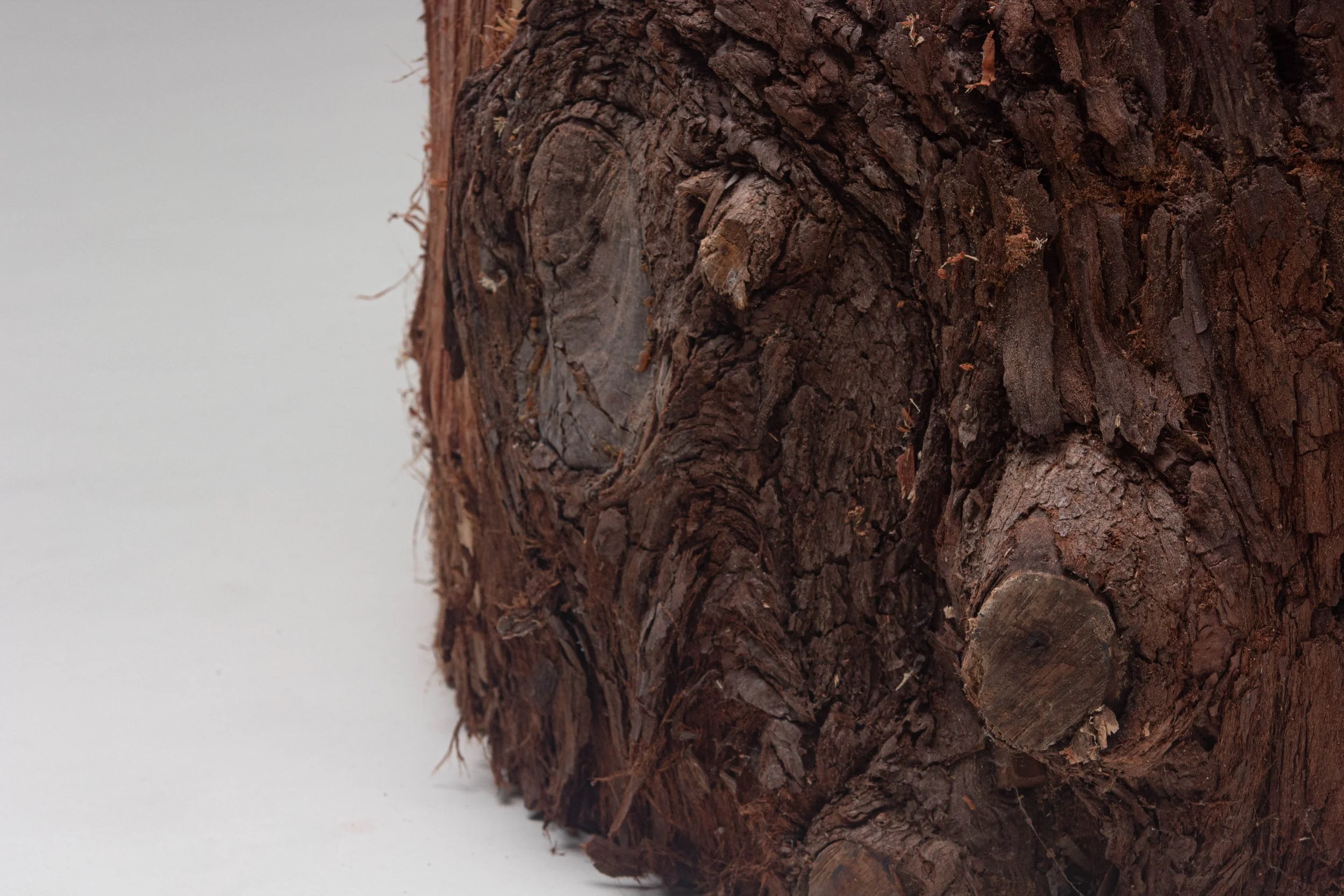 Redwood-4.jpg