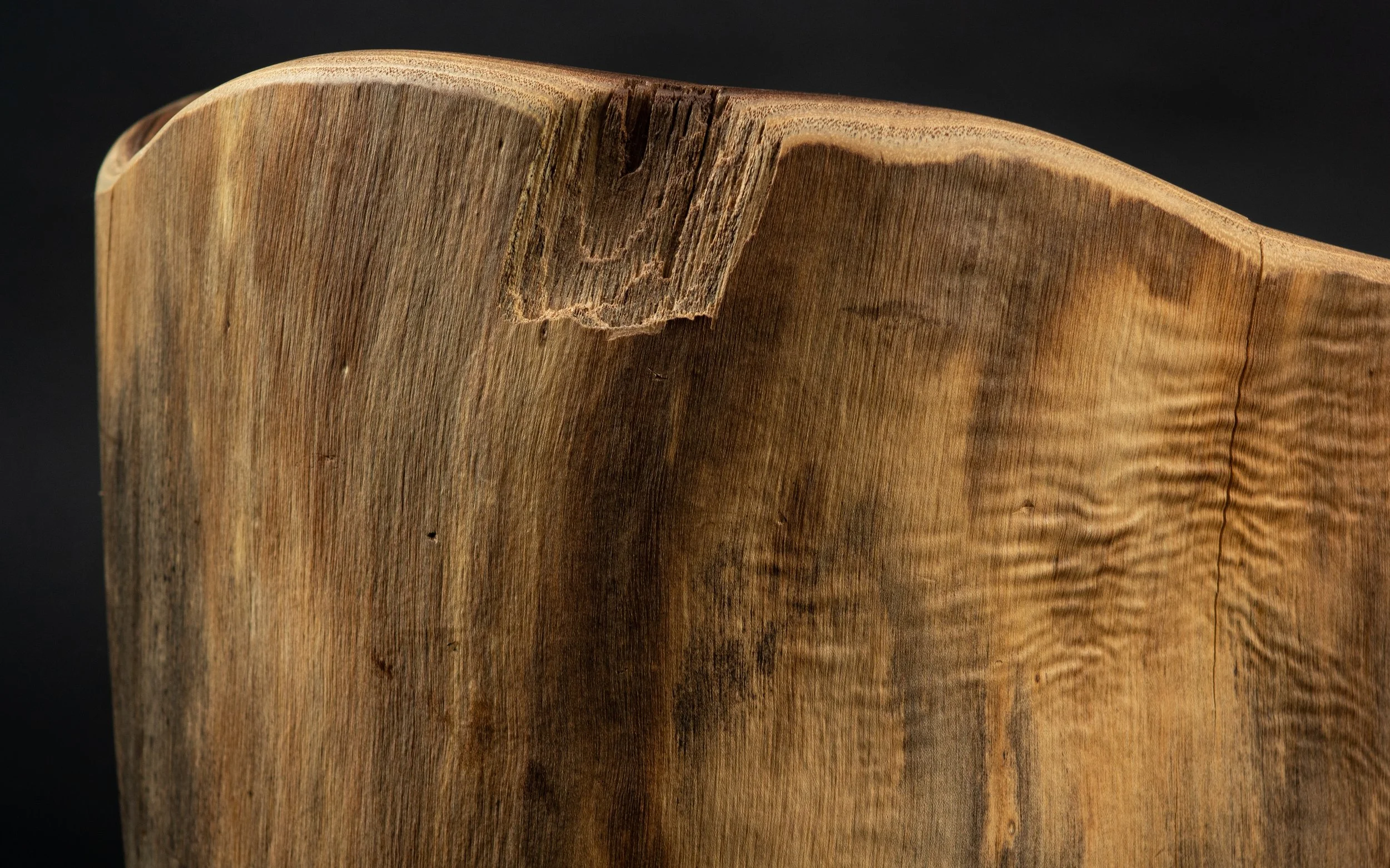 The Log Will Hold You-7.jpeg