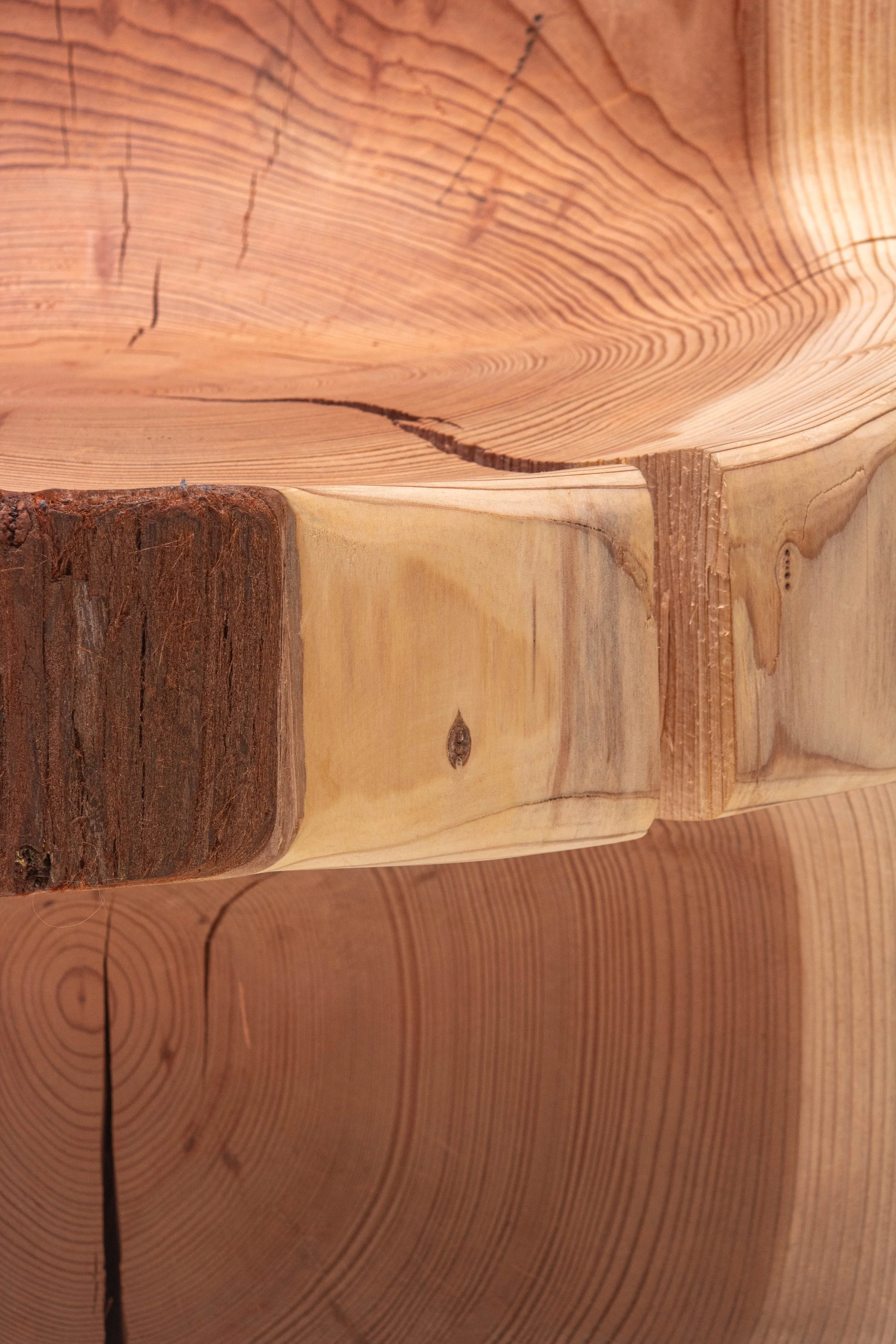 Redwood-5.jpg