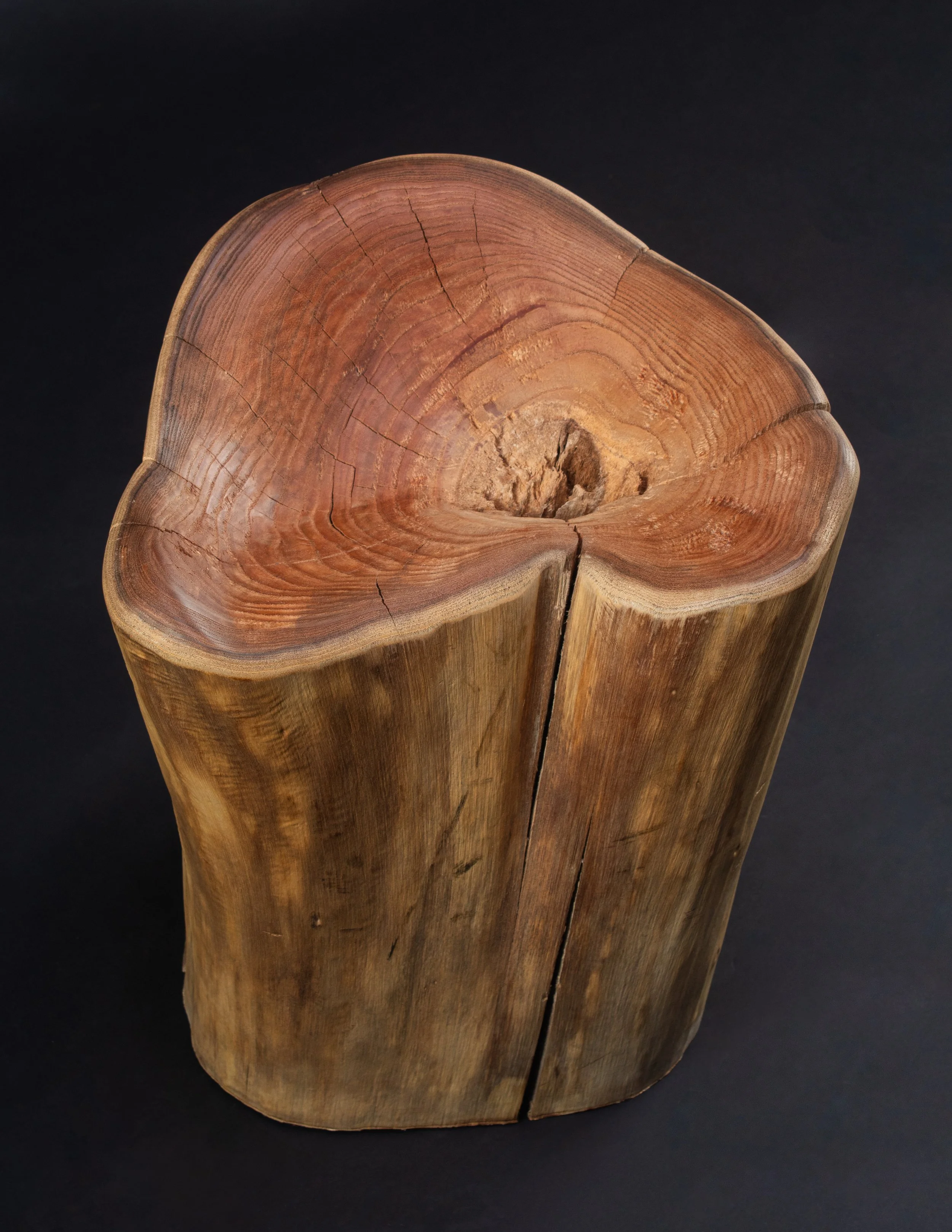The Log Will Hold You-1.jpeg