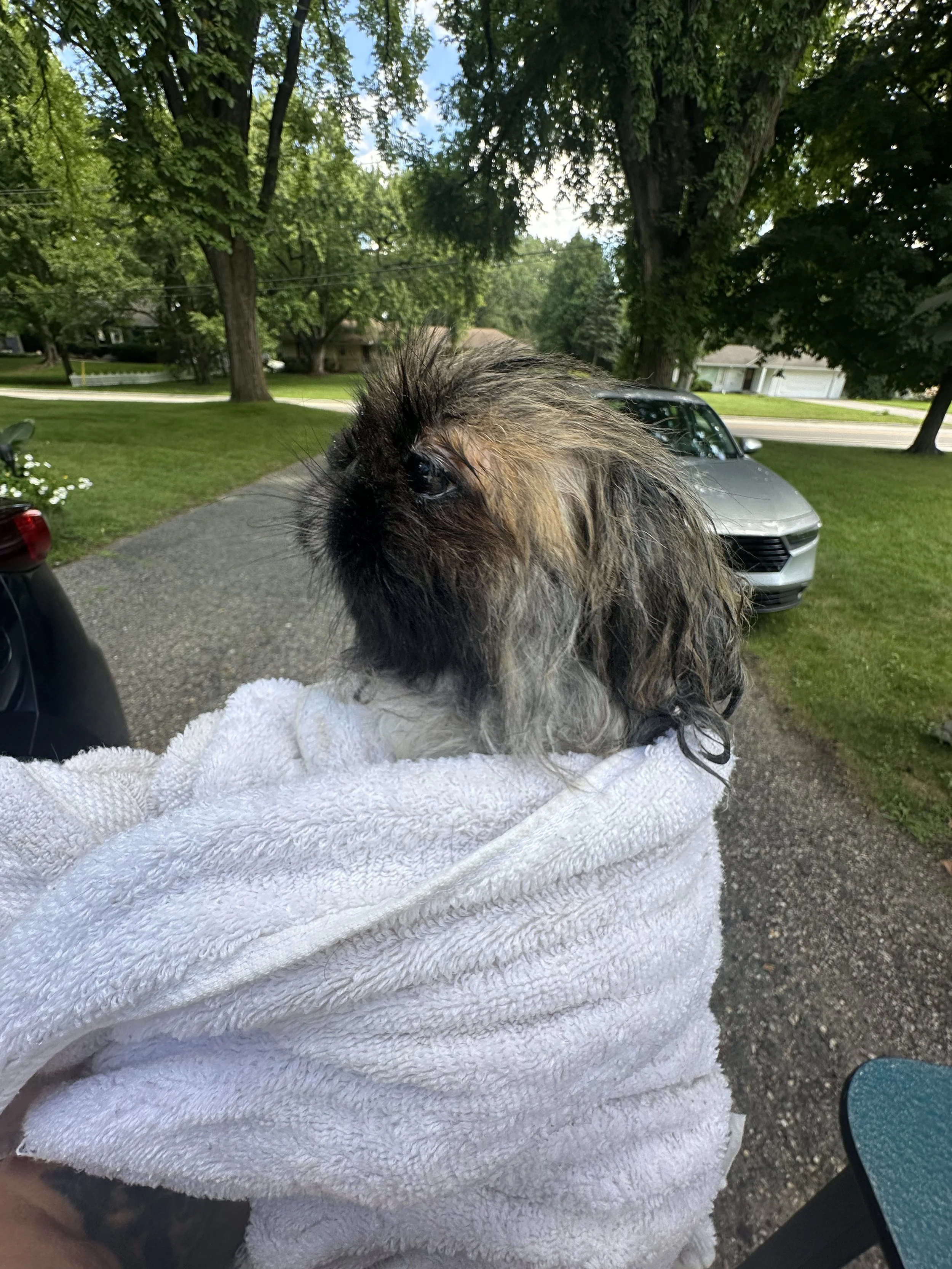 IMG_0347.jpeg
