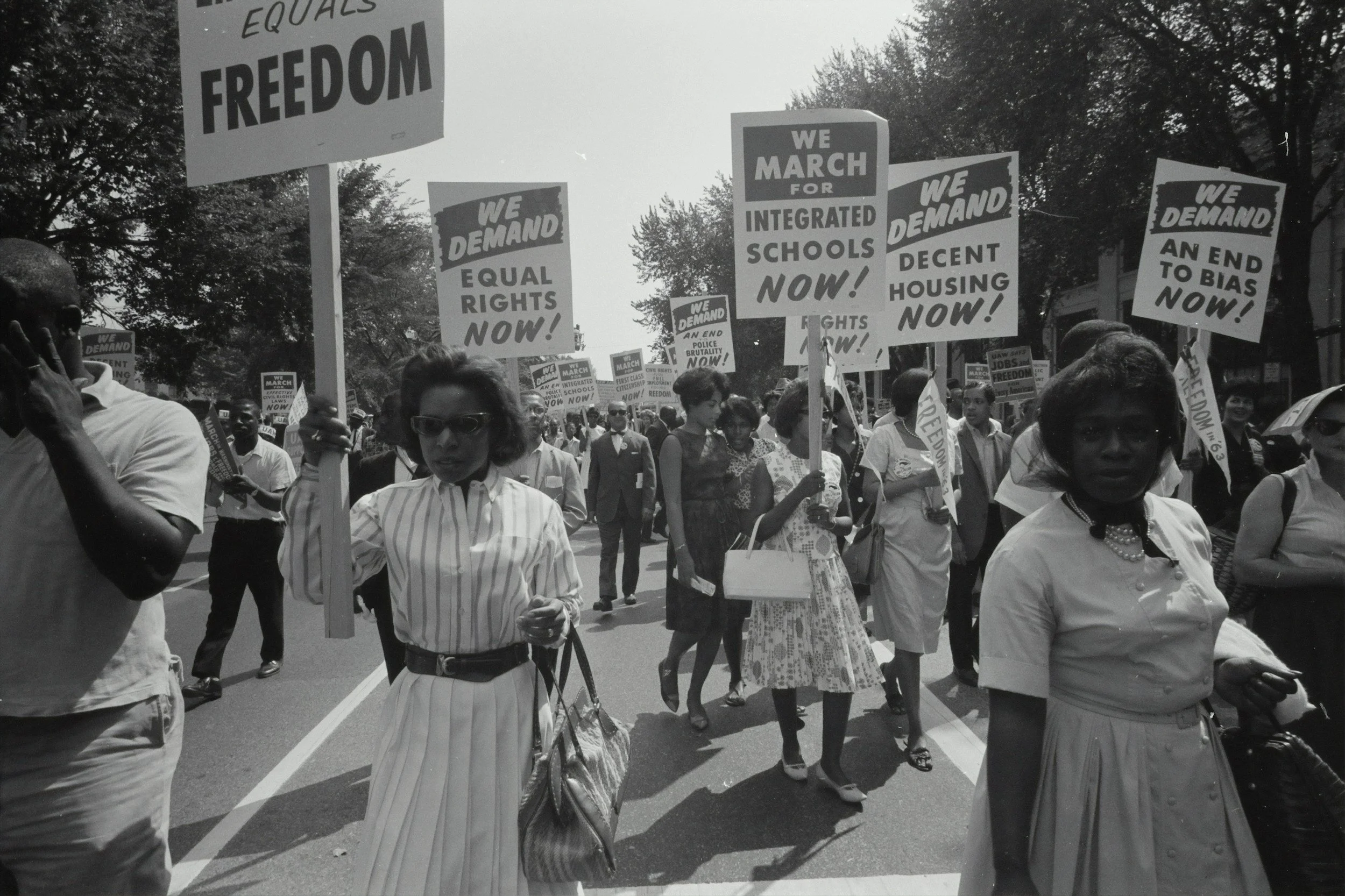 Group of protesters