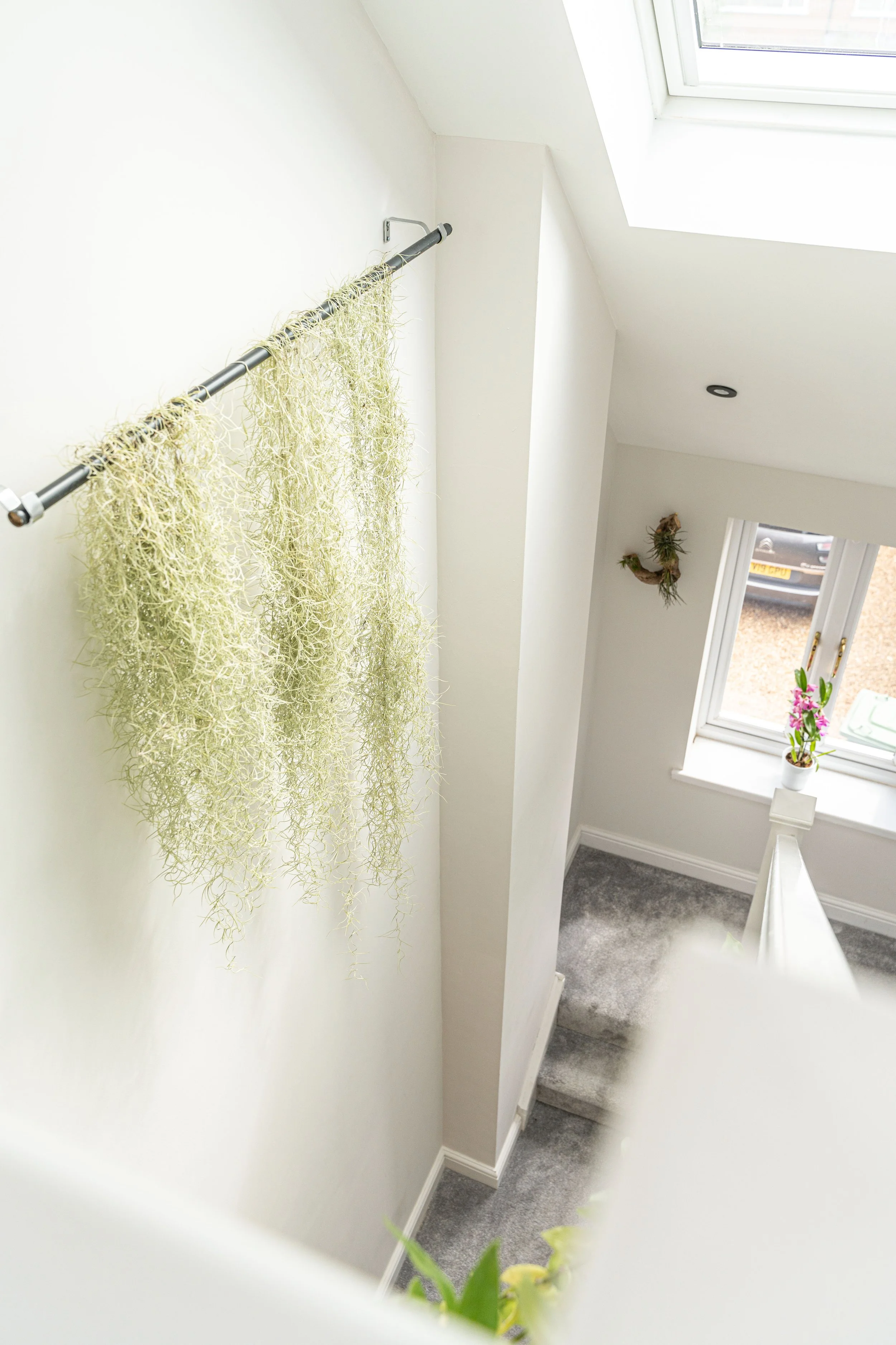 ADM, Hockley Rd - by Visually Rich 09645.jpg