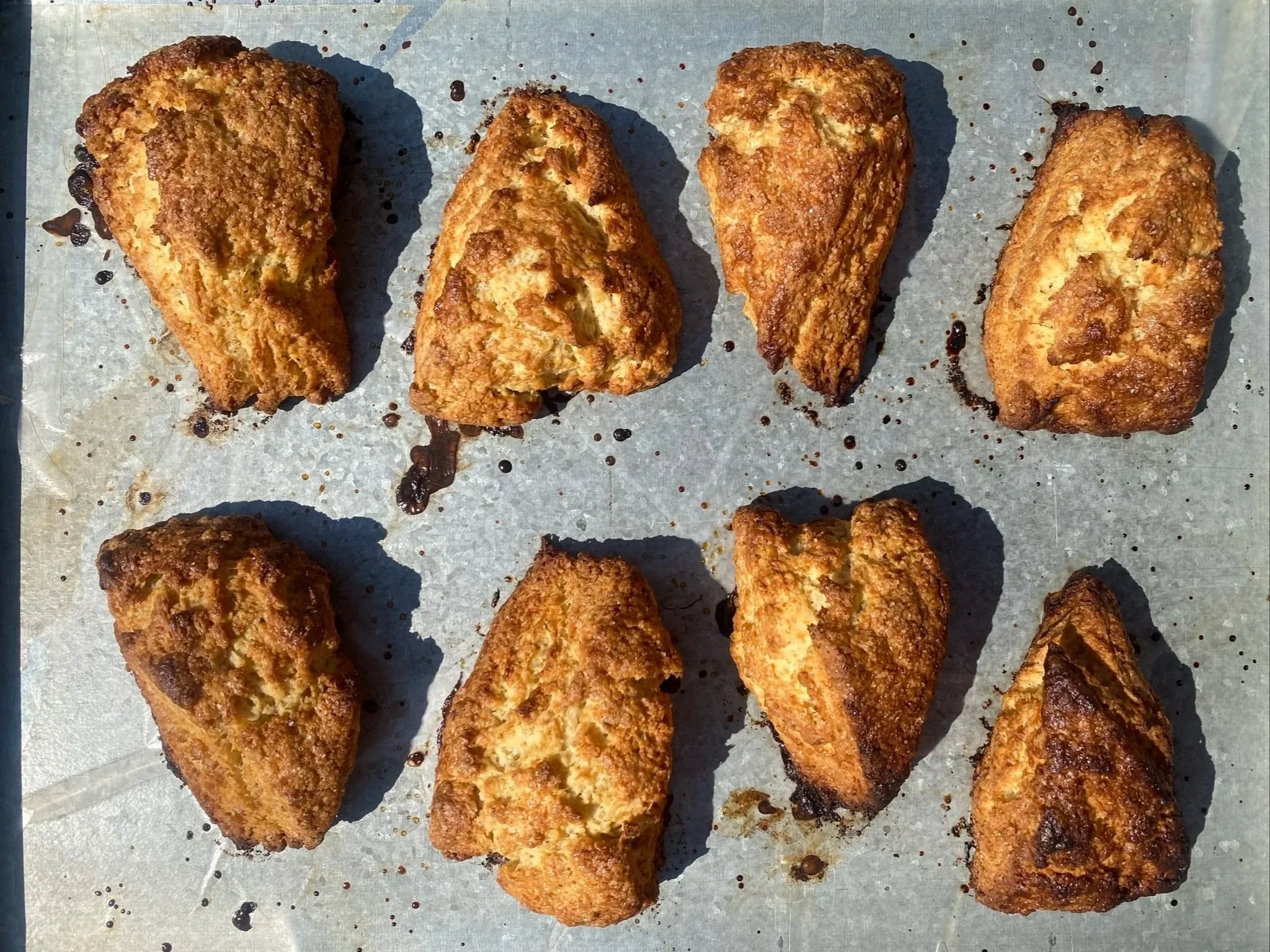 Tray of sourdough scones