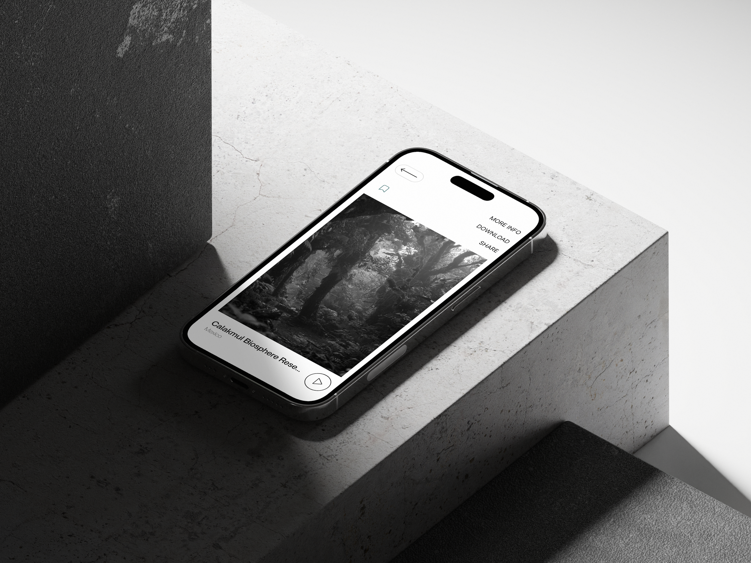 An iPhone displaying the Calakmul Biosphere Reserve soundscape player, resting diagonally on textured minimalist concrete steps in bright, clean studio lighting.