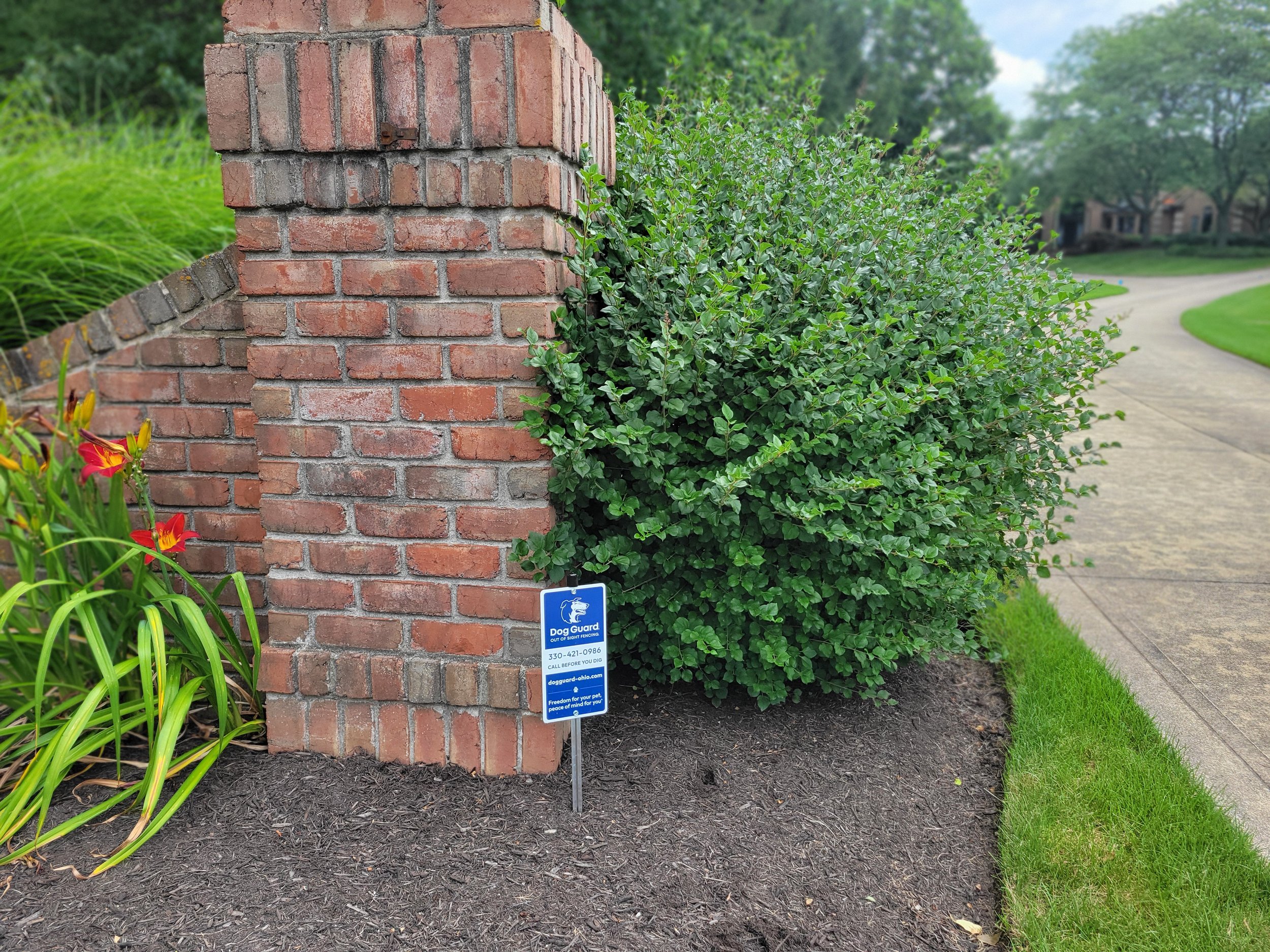 Dog Guard yard sign marking out of sight fencing system installation near landscaped property edge