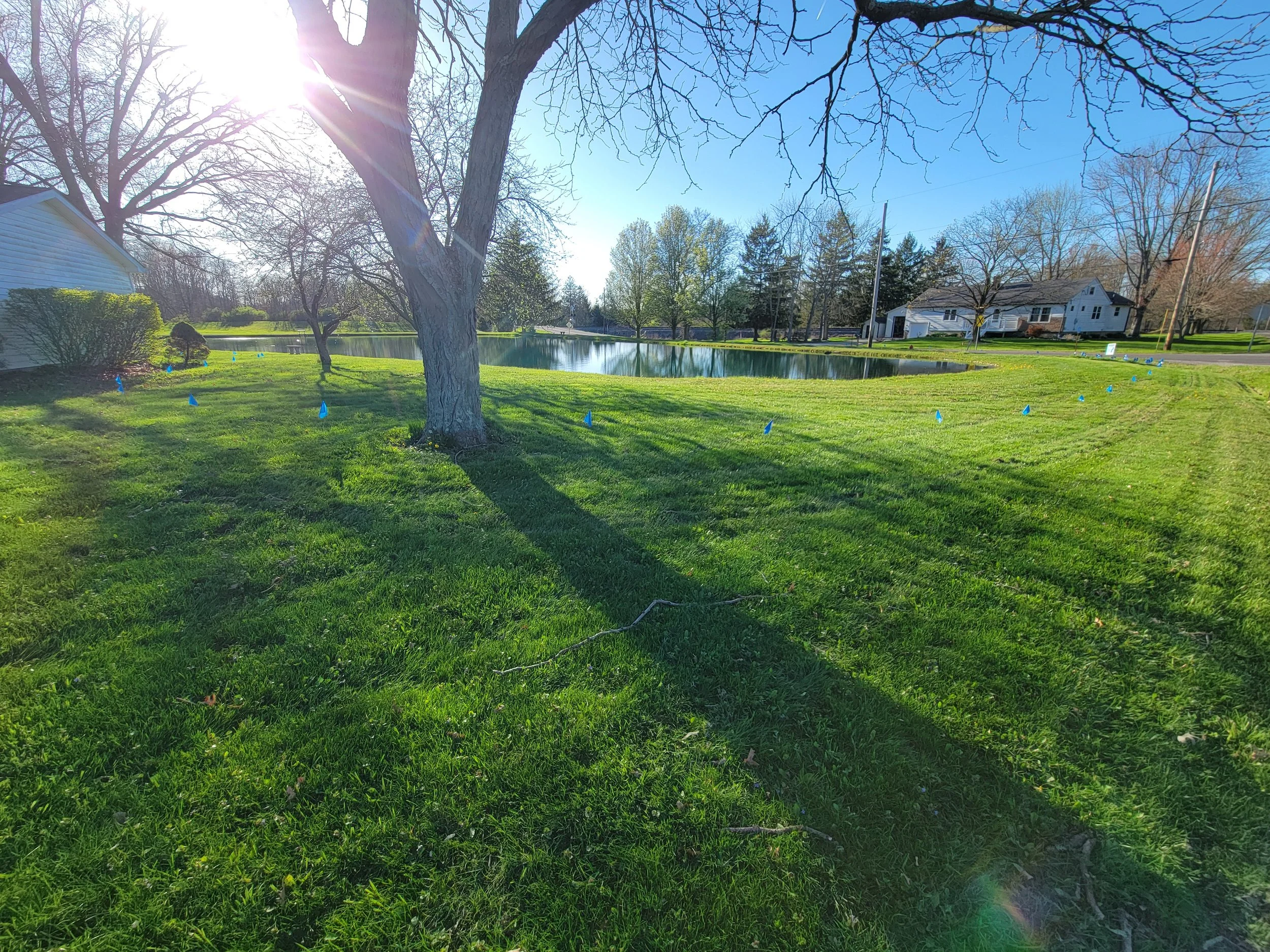 Out of sight fencing boundary flags placed across residential yard during installation setup