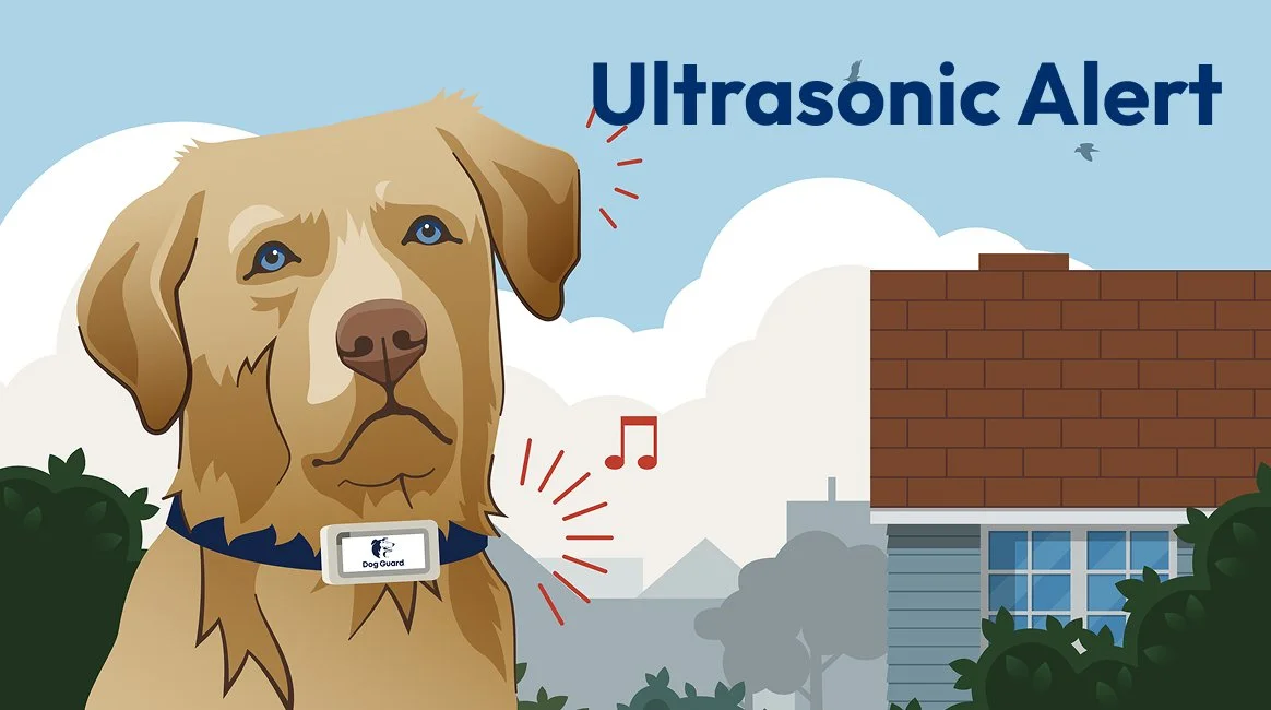 The FreedomPro™ provides both audible and ultrasonic sounds to guide the pet’s behavior.  There are 4 ultrasonic options that only dogs can hear – plus 7 more that are audible to humans as well.