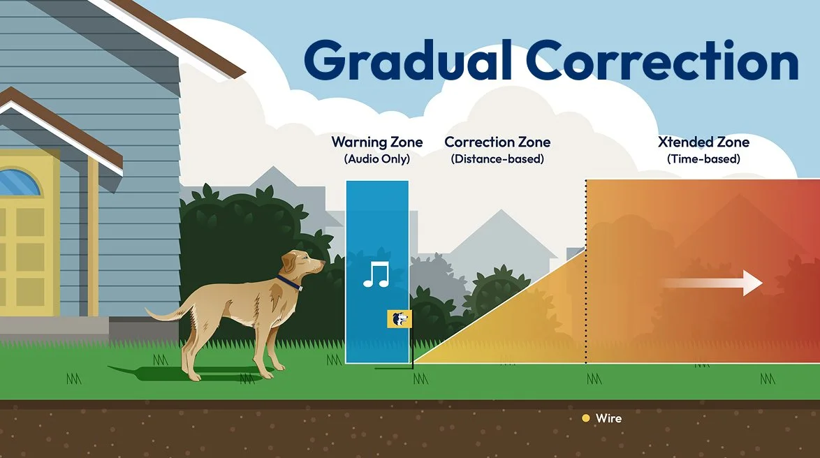 Our new collar is fully customizable, allowing for gradual correction which promotes using the least amount of correction needed for proper training.