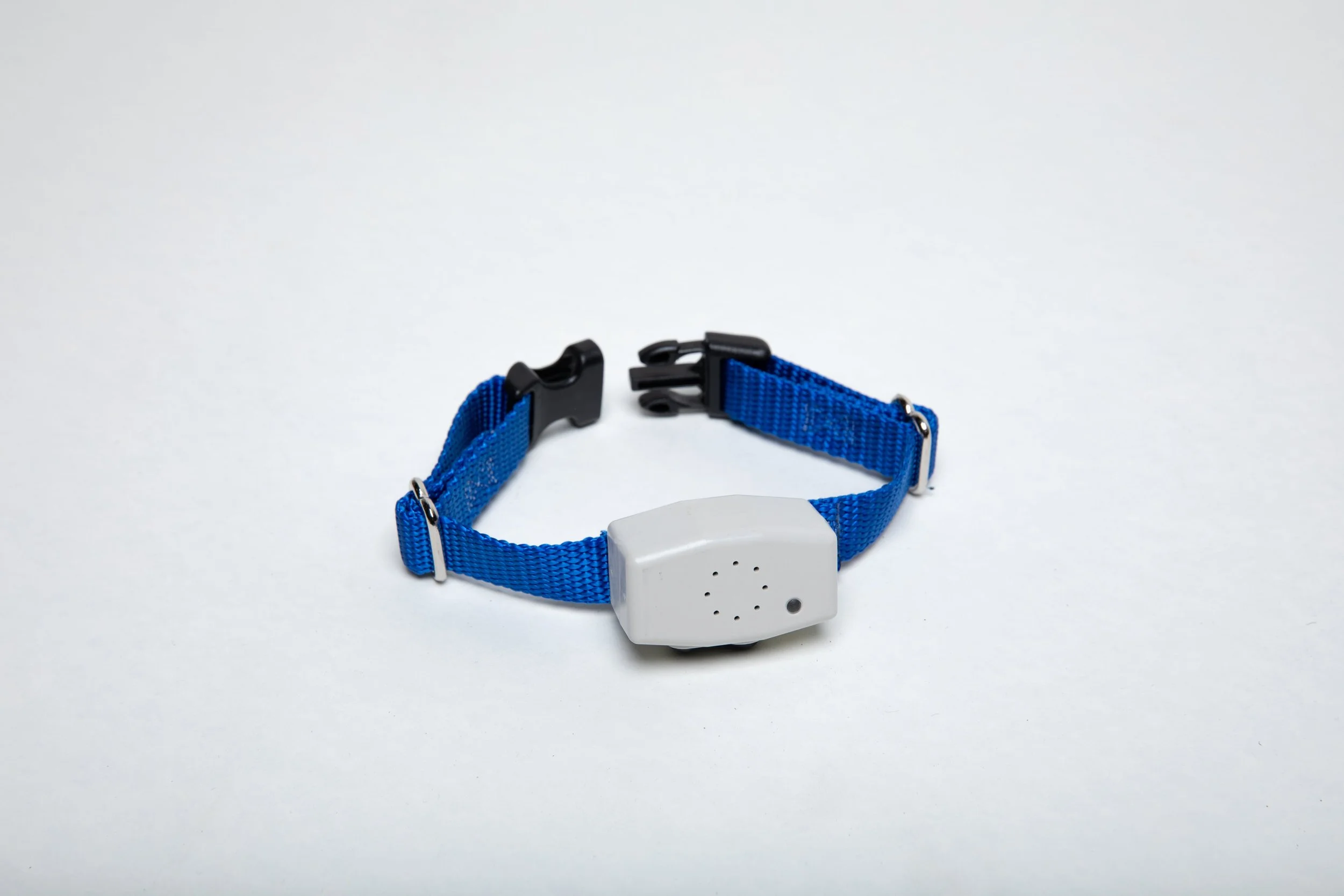 The DGM4R Rechargeable receiver has a rechargeable battery and is designed to contain “tiny pets” weighing 1 to 10 pounds.