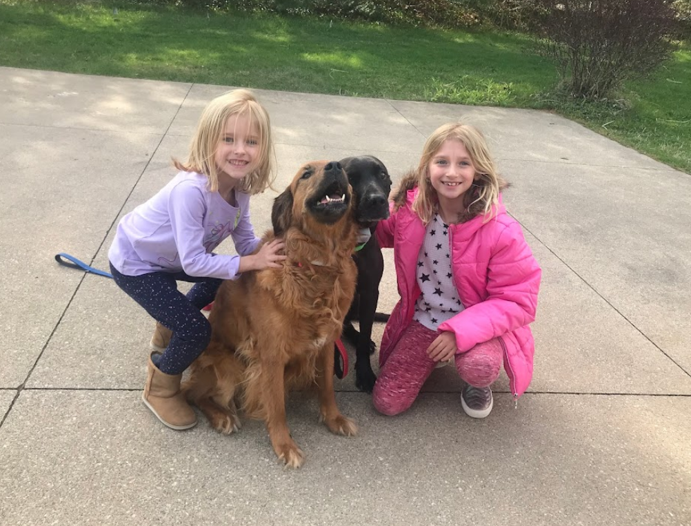 Two young girls in casual clothing kneeling on a concrete sidewalk, smiling, with a Golden Retriever and a black dog.