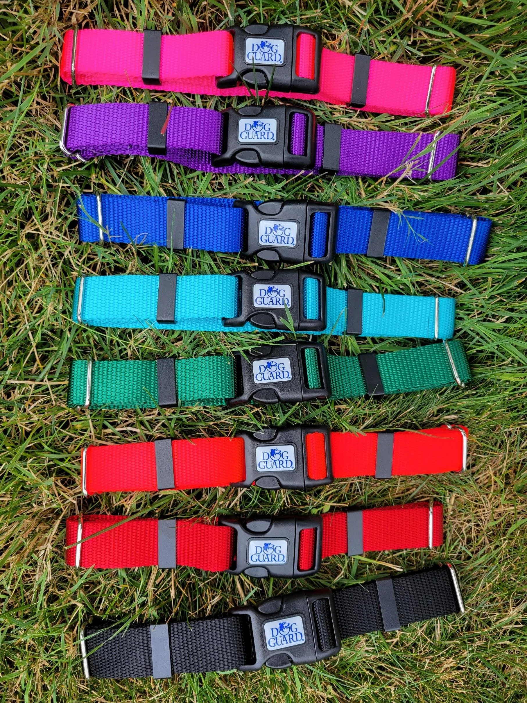 Six colorful dog collars with black buckles, arranged in a row on green grass, each with a "Dog Guard" logo.