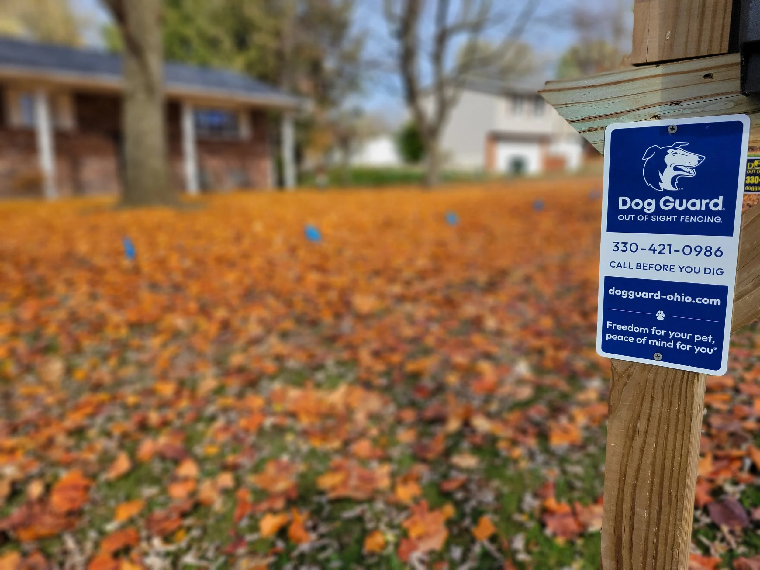 4 Questions to Ask Before Your Dog Fence Installation