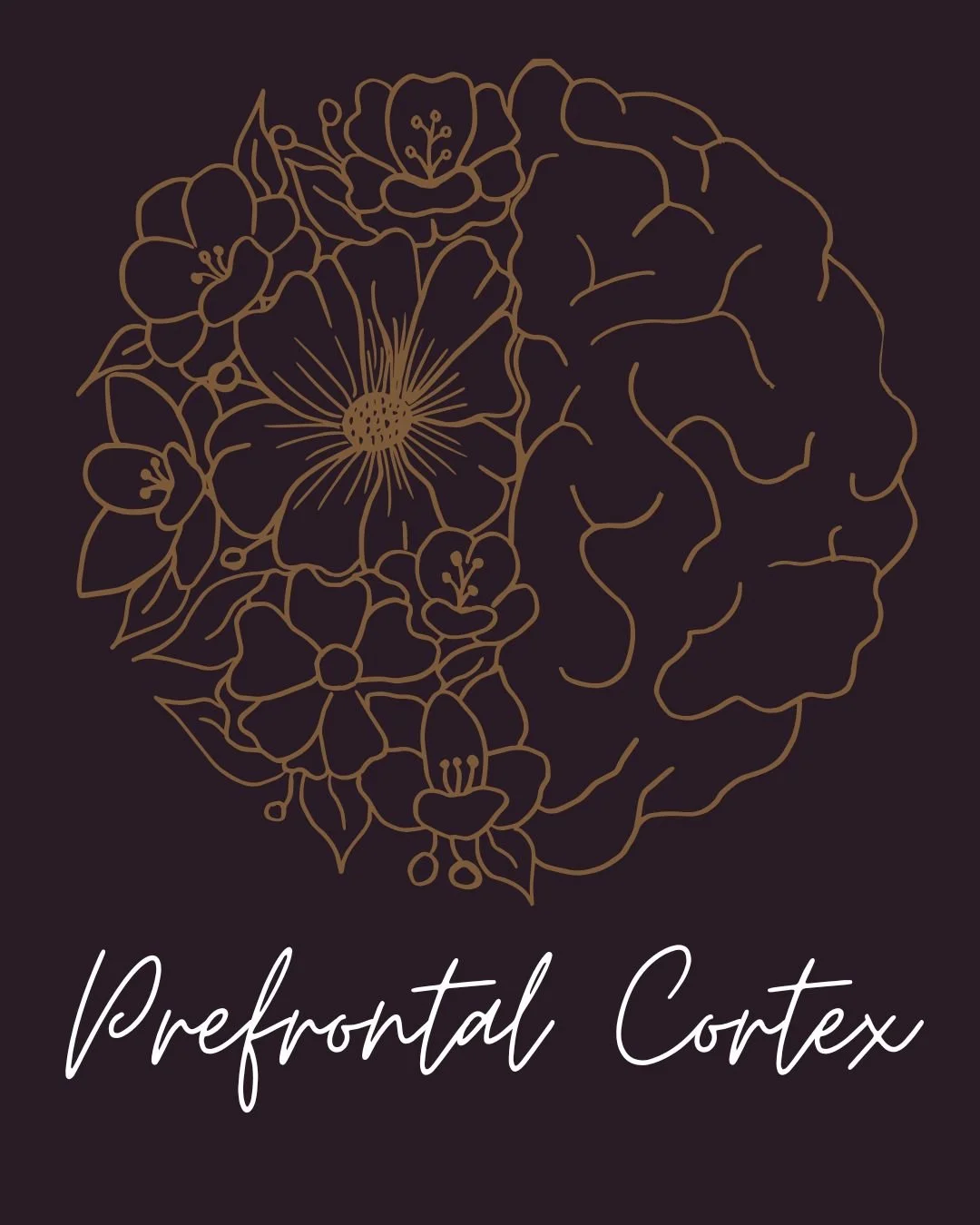 Prefrontal Cortex