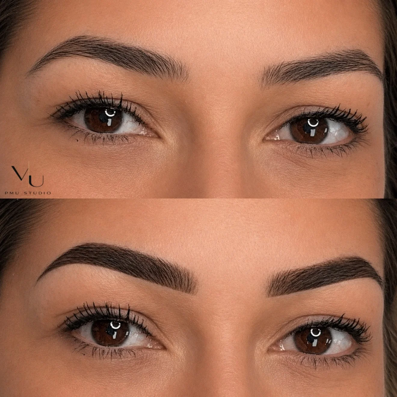 POWDERBROWS