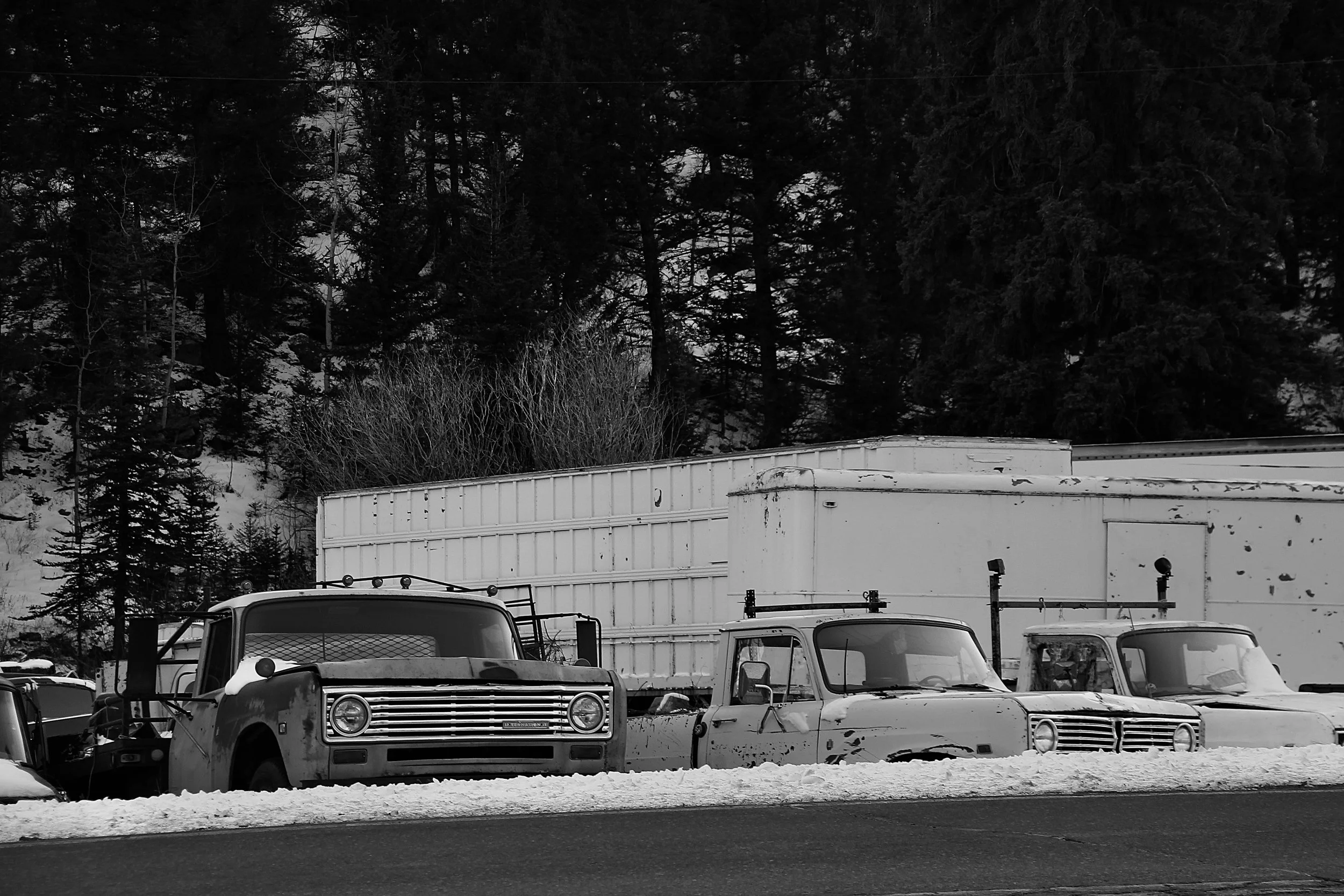 Black and white photo of a parking lot filled with various vehicles, including trucks and cars. In the background, there are tall, dense pine trees and snow-covered ground, with a building roof visible in the bottom right corner.