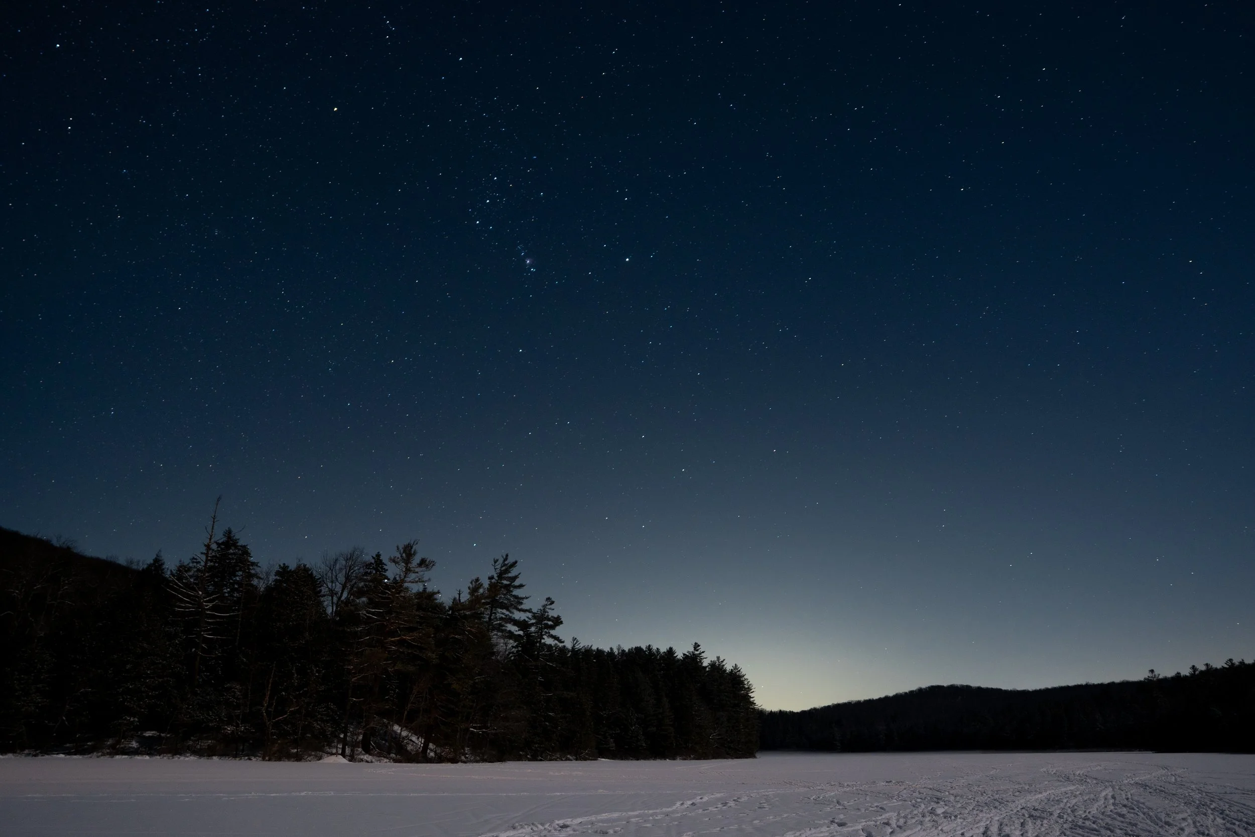 Nighttime landscape of a forested area with snow on the ground and a clear sky filled with stars.