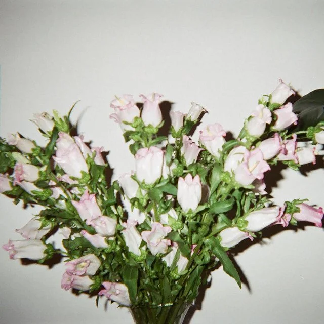 new song saturday: drip