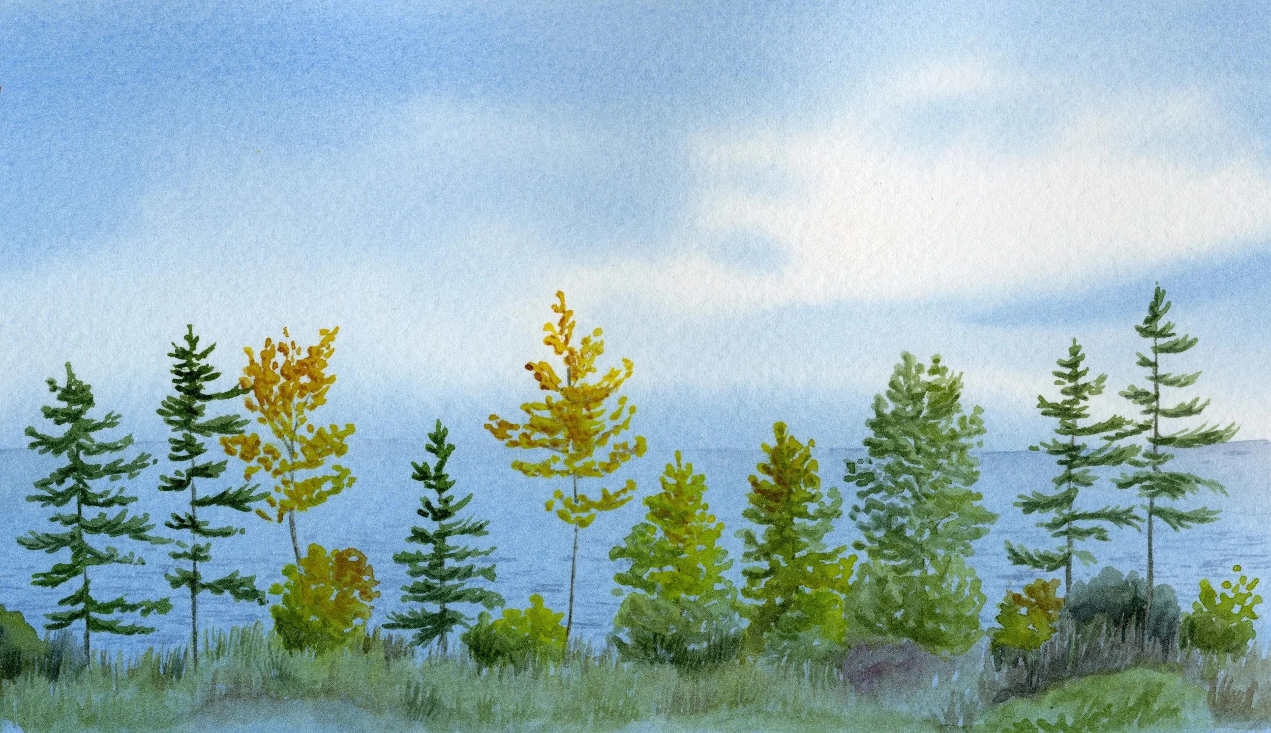 Skyline