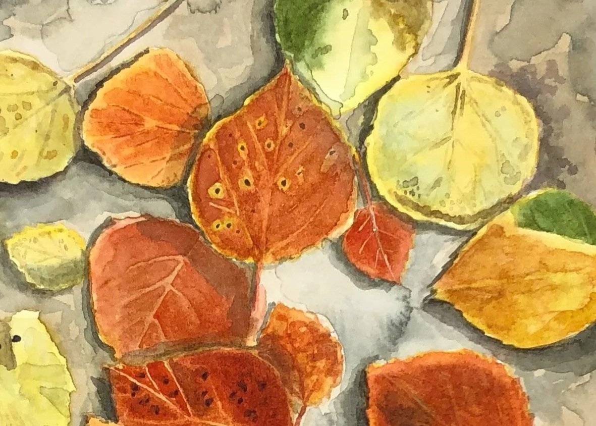 birch+leaves.jpg