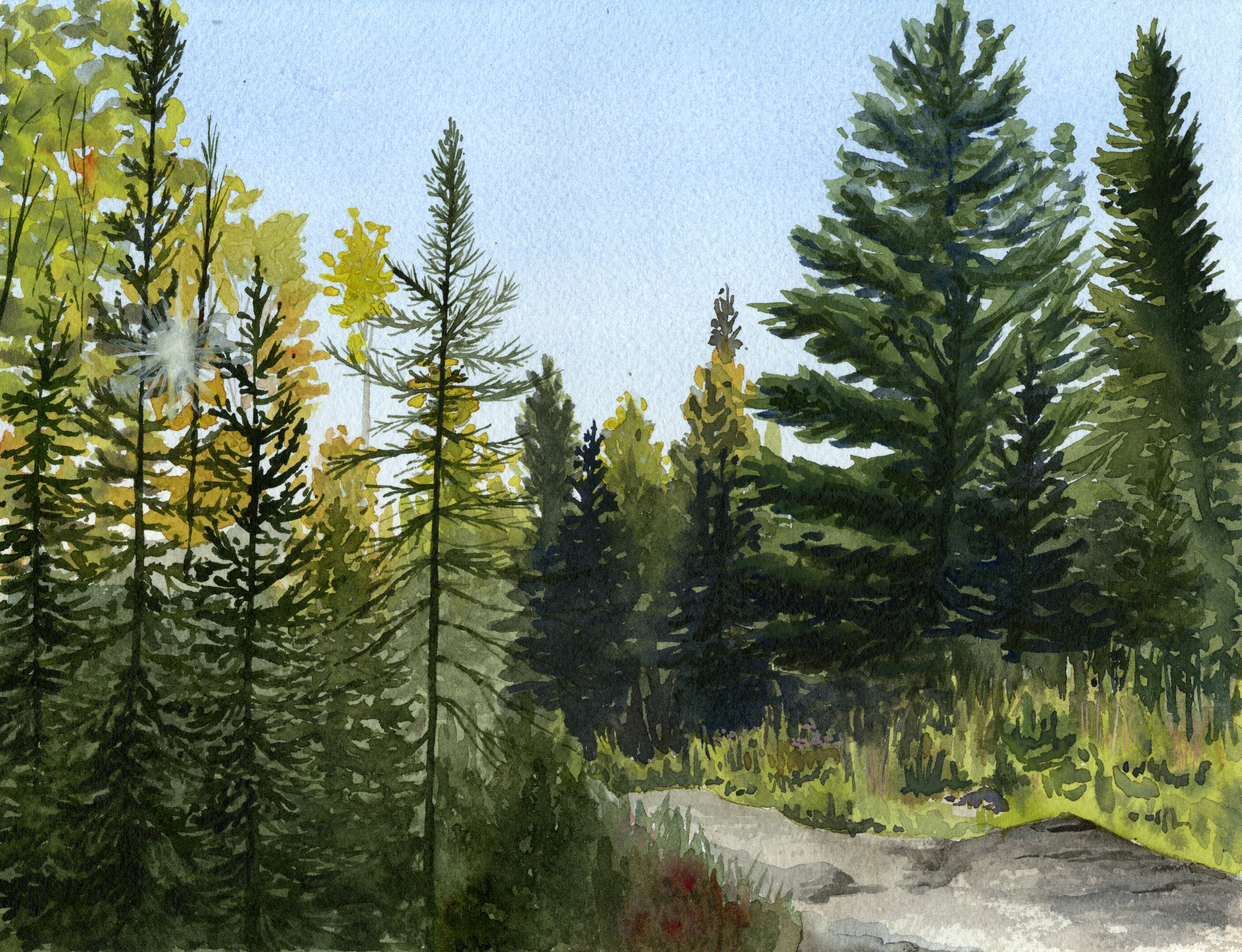 Just Down the Trail