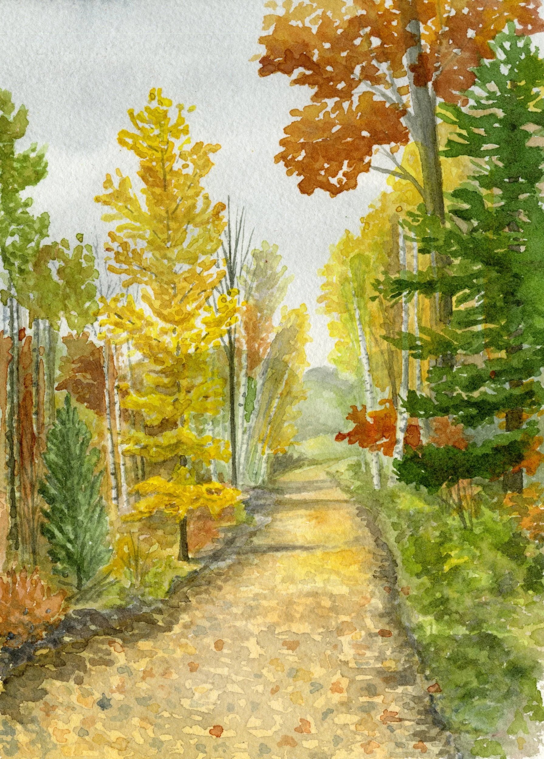 Trail Colors