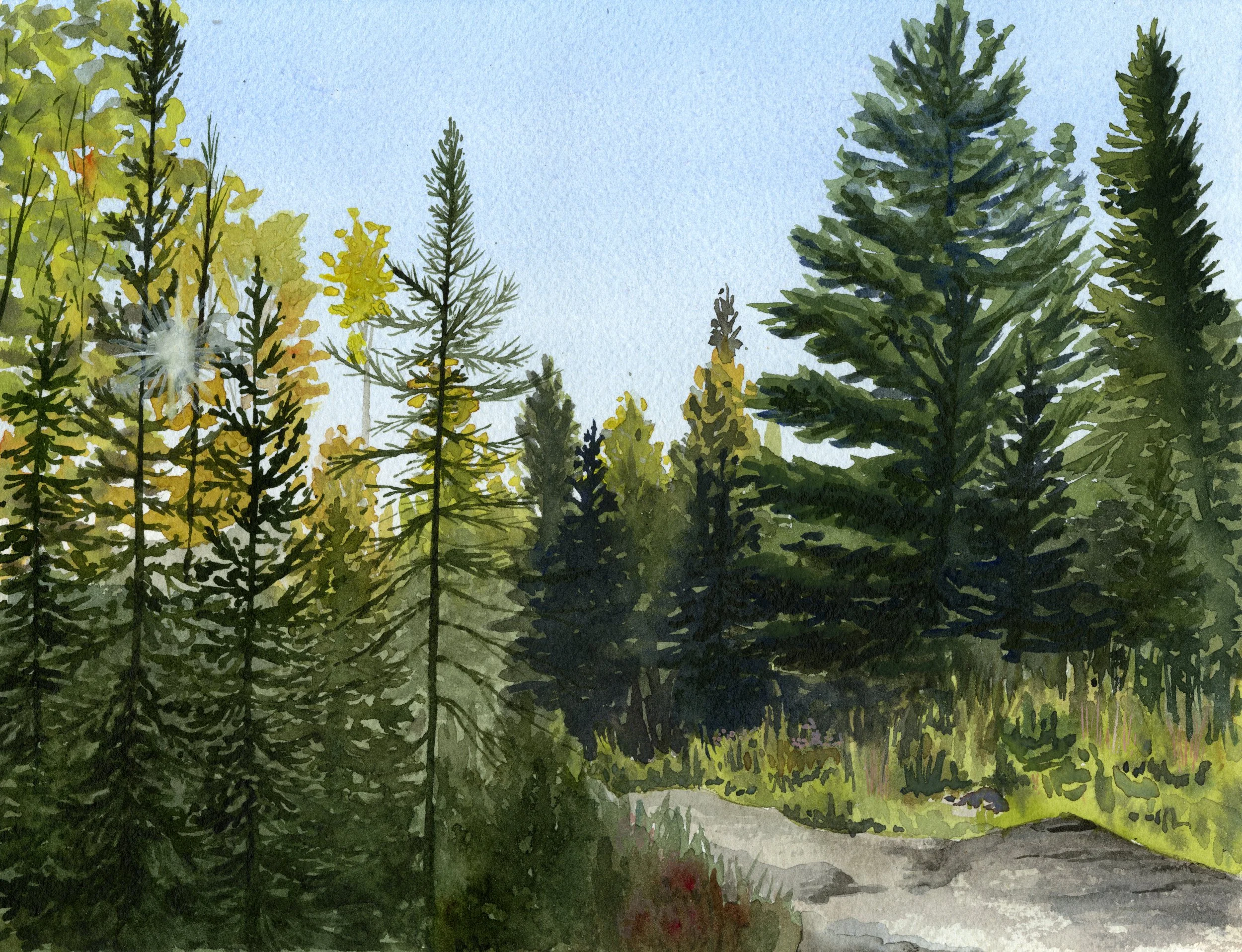 Just Down the Trail