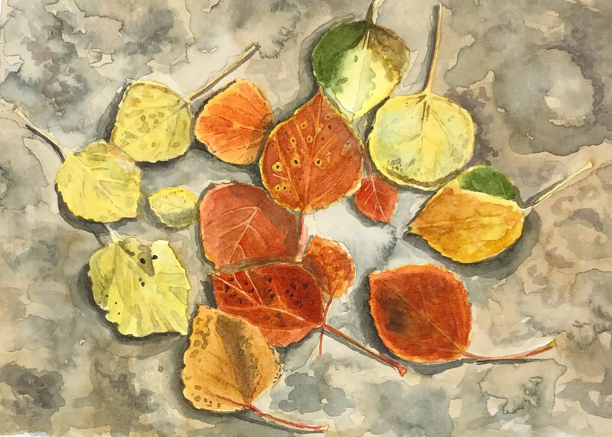 Birch Leaves