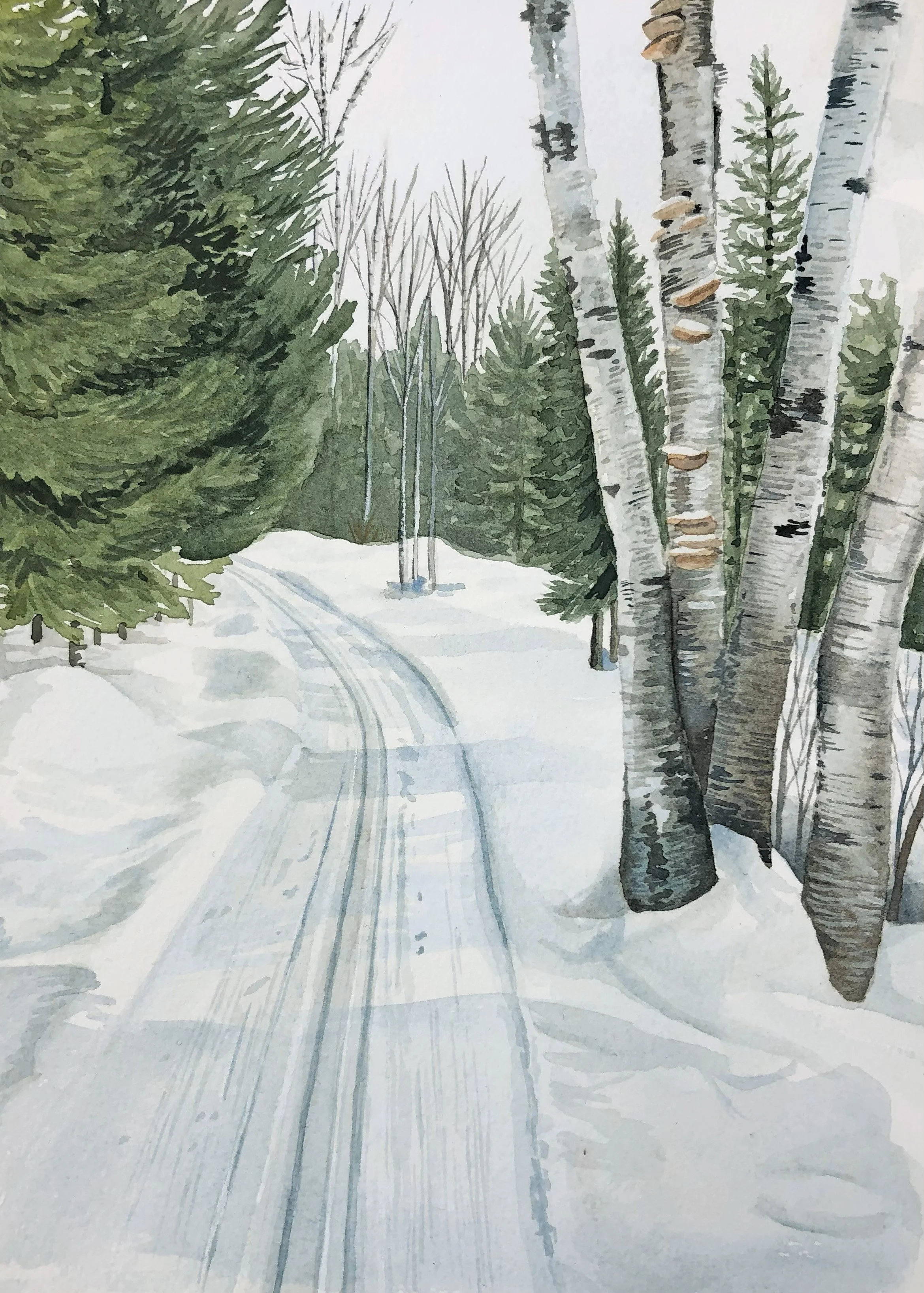 Northwoods