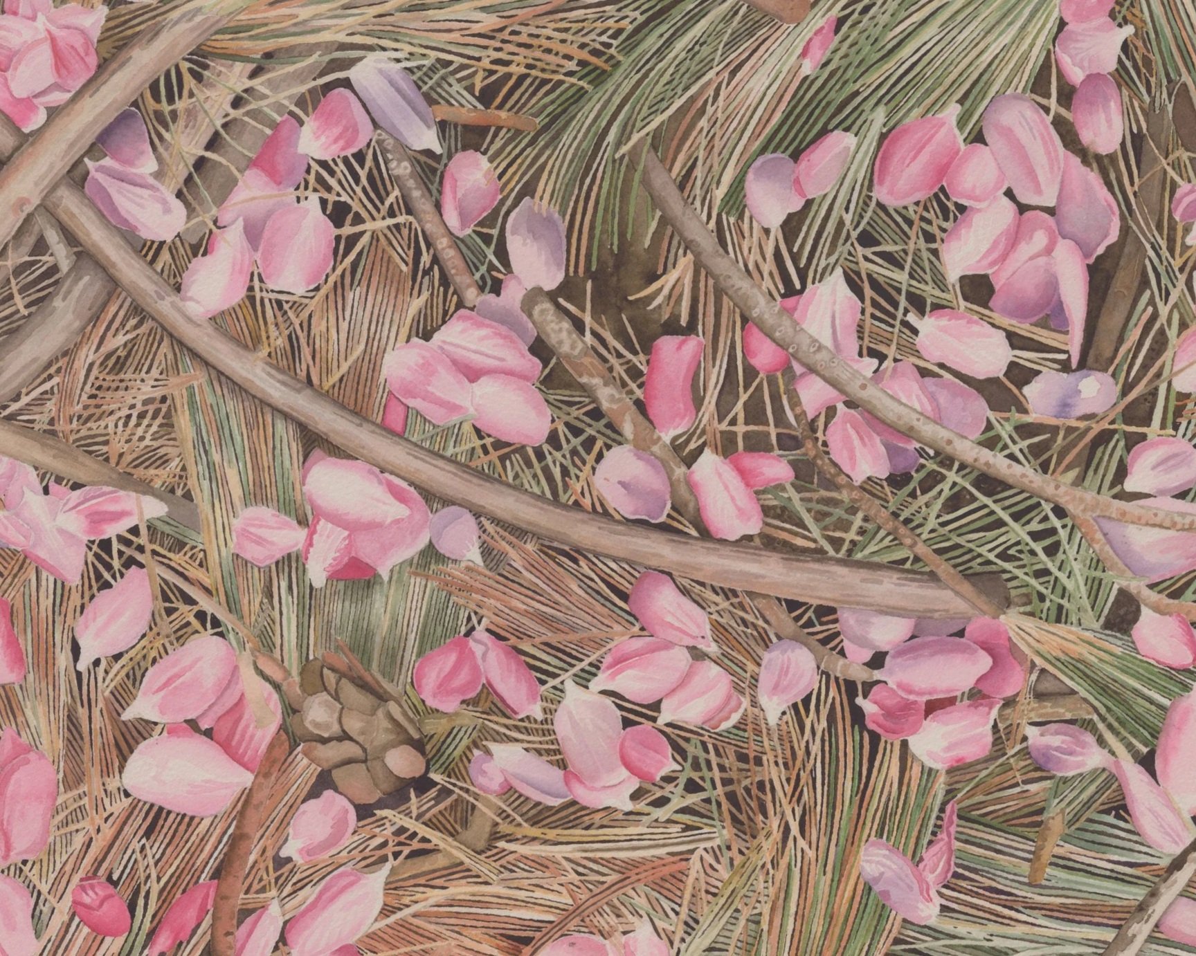 petals+%26+pines+8x10.jpg