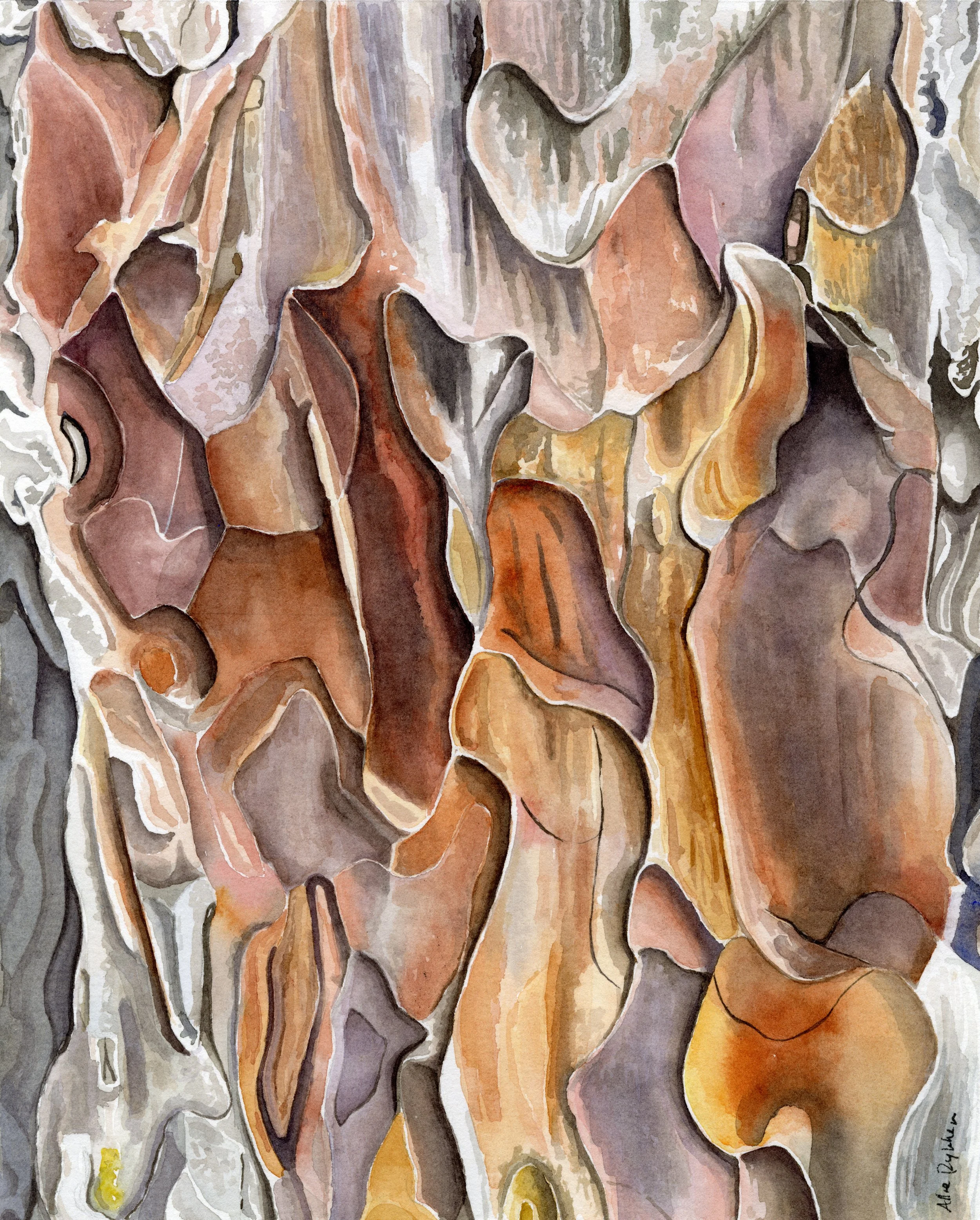 Red Pine 2