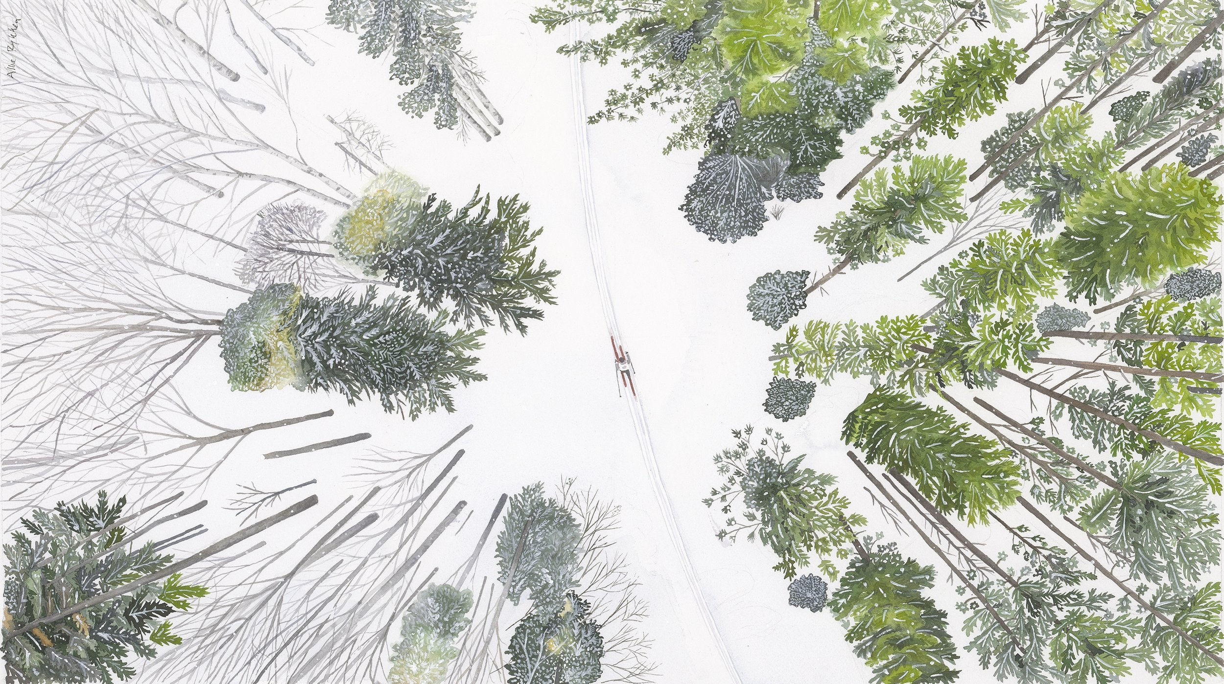 Ski North Ultra